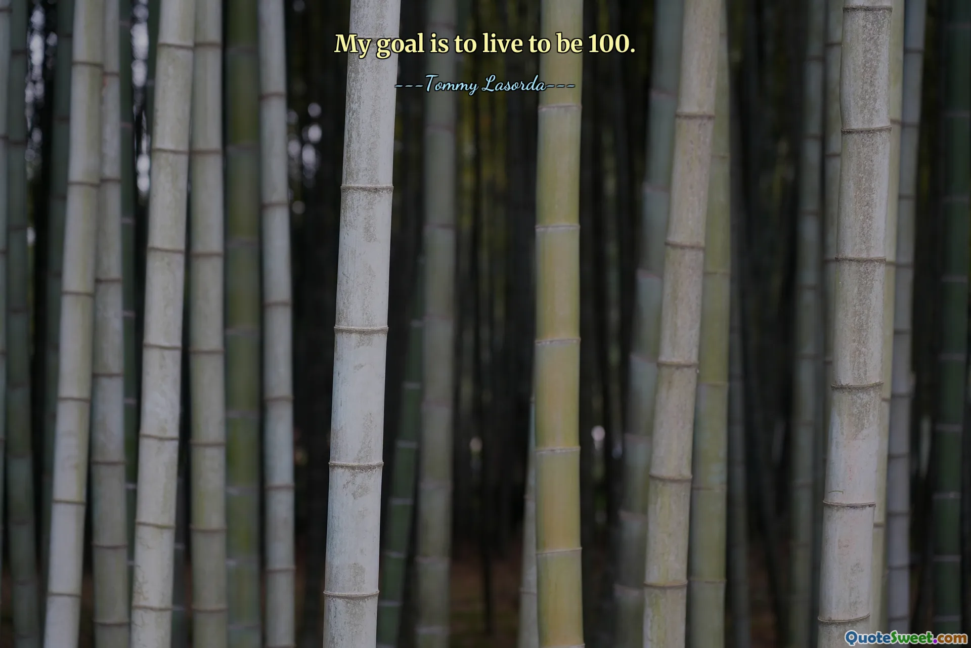 My goal is to live to be 100.