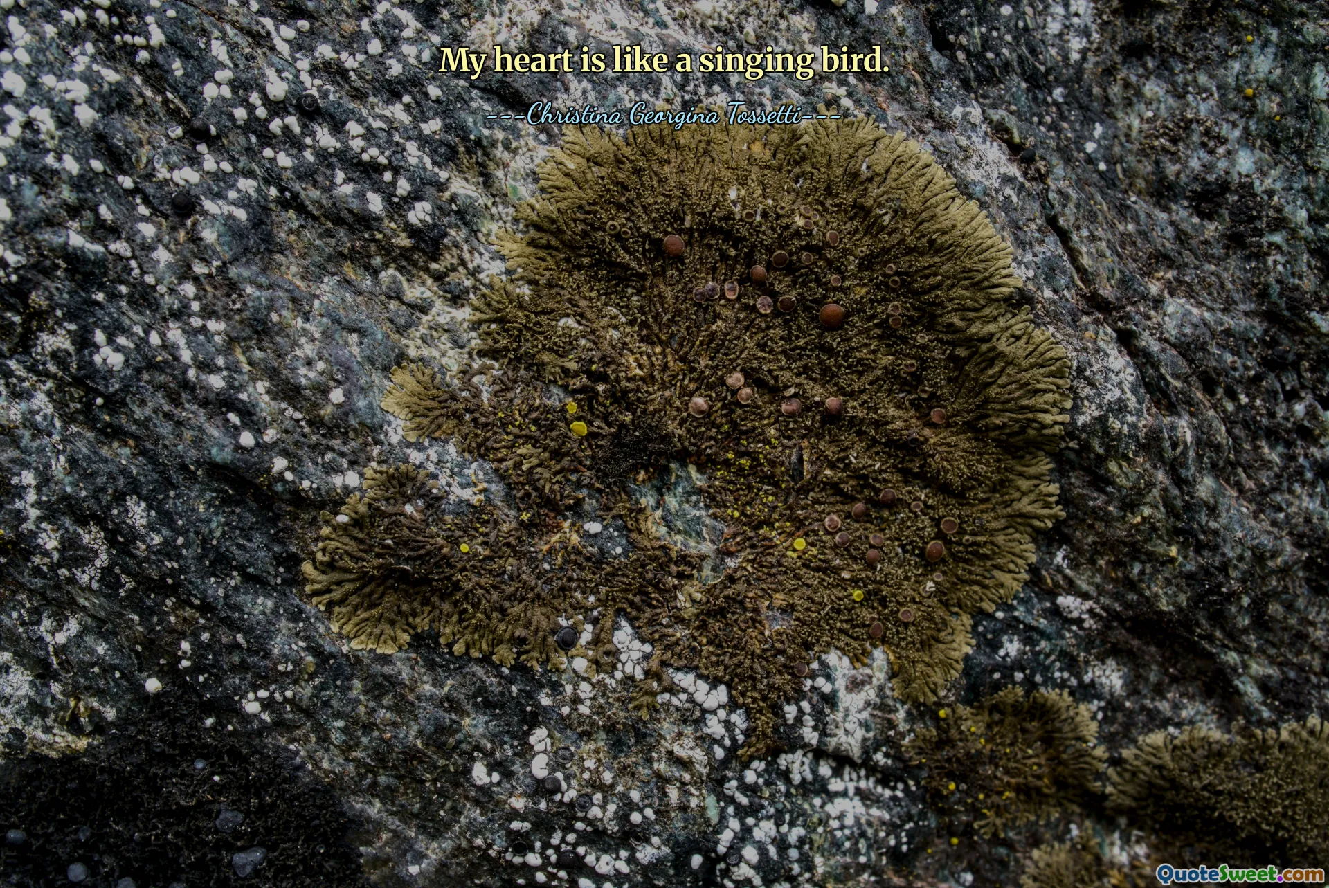 My heart is like a singing bird.