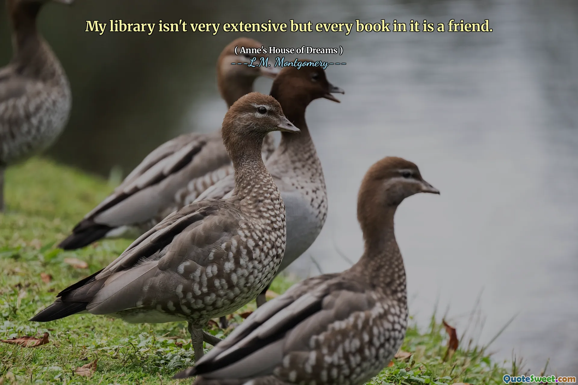 My library isn't very extensive but every book in it is a friend.