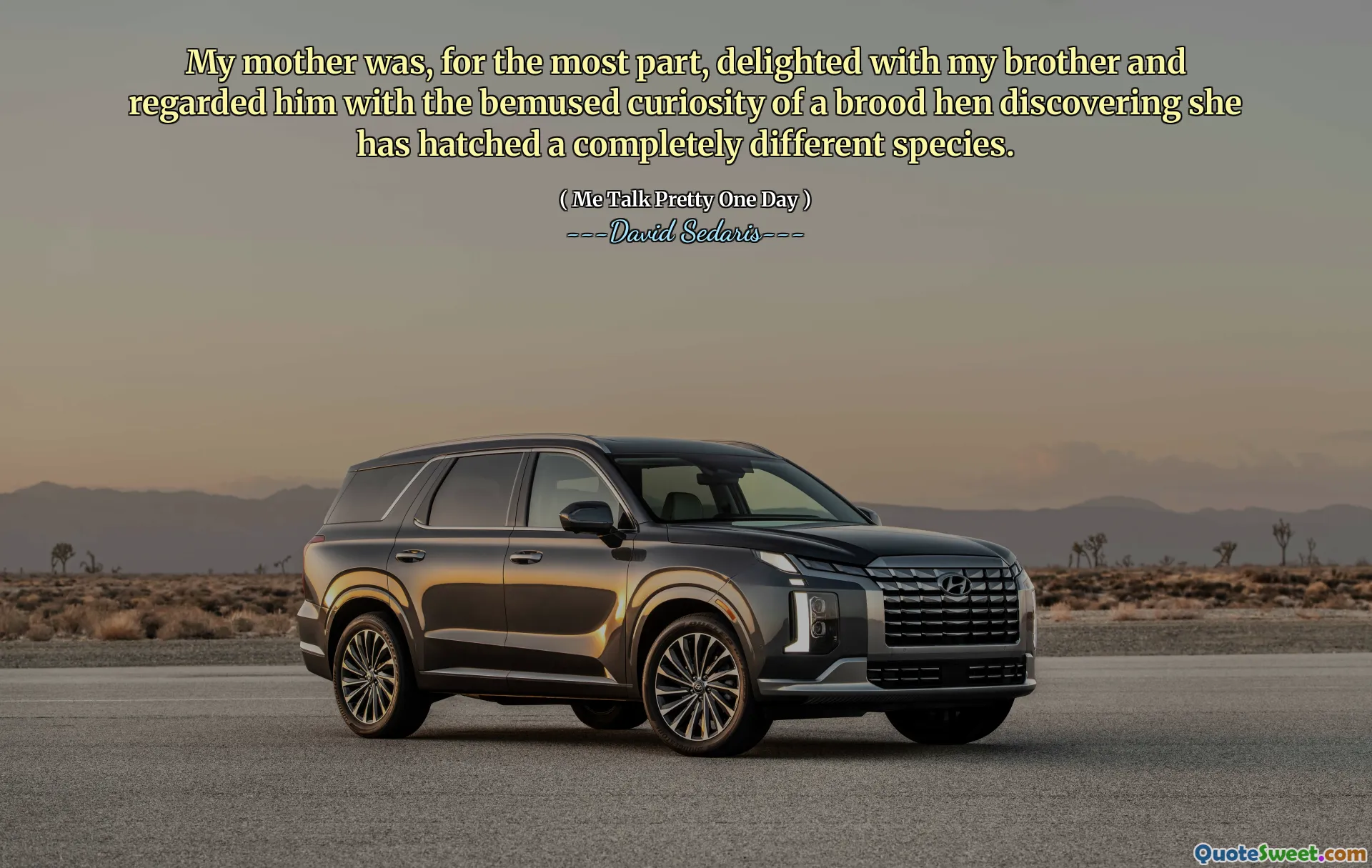 My mother was, for the most part, delighted with my brother and regarded him with the bemused curiosity of a brood hen discovering she has hatched a completely different species.