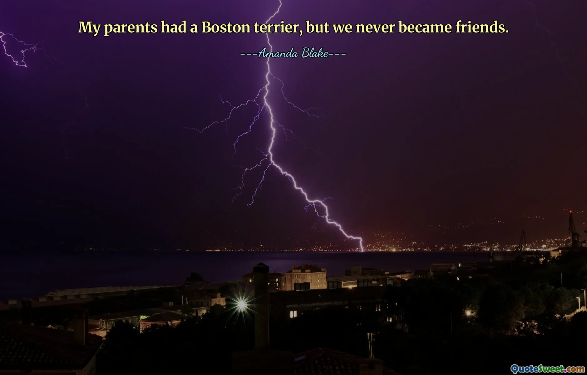 मेरे माता-पिता के पास बोस्टन टेरियर था, लेकिन हम कभी दोस्त नहीं बने।