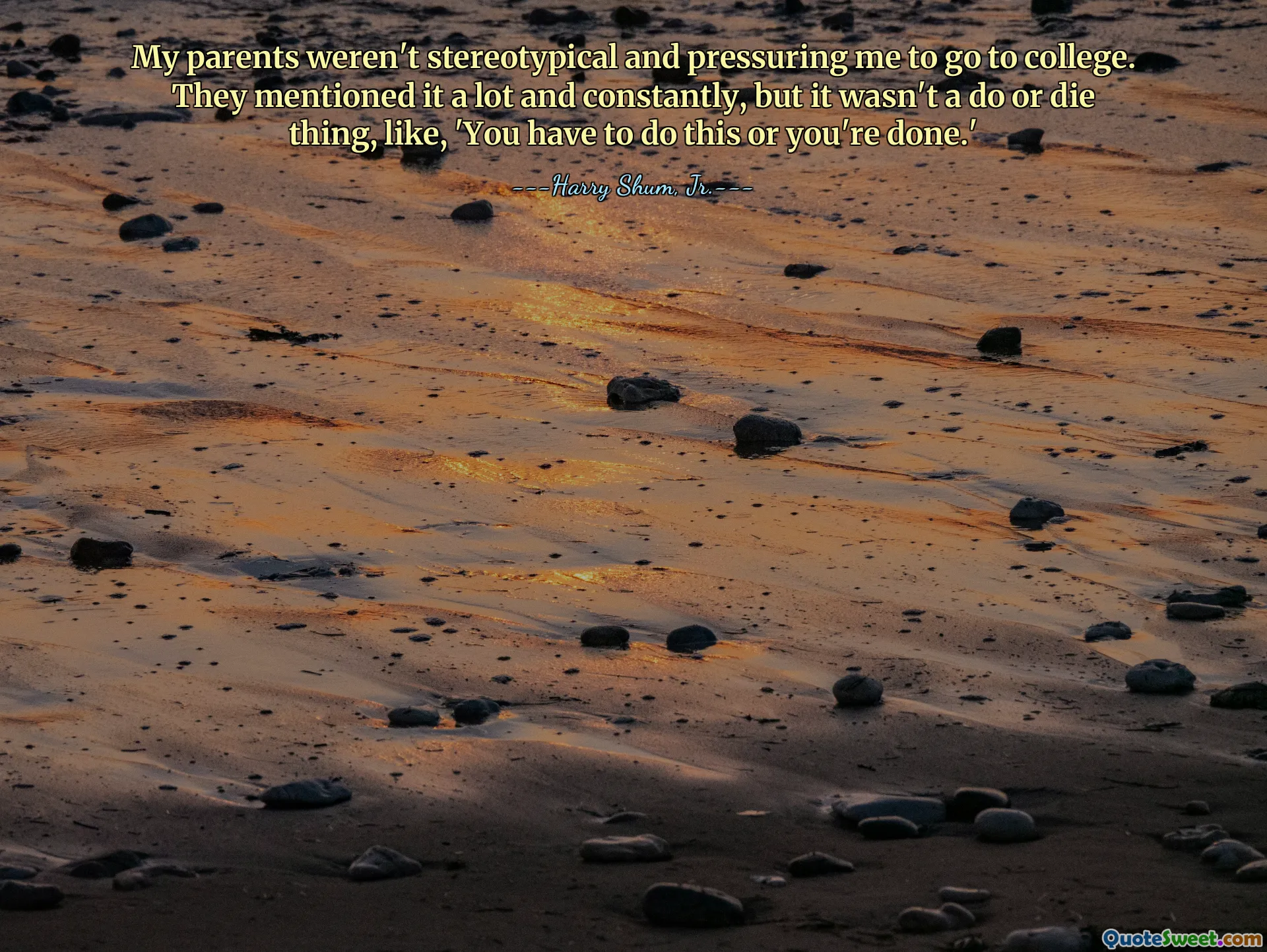 My parents weren't stereotypical and pressuring me to go to college. They mentioned it a lot and constantly, but it wasn't a do or die thing, like, 'You have to do this or you're done.'