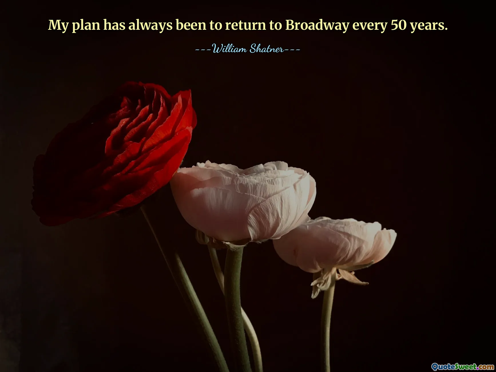 My plan has always been to return to Broadway every 50 years.