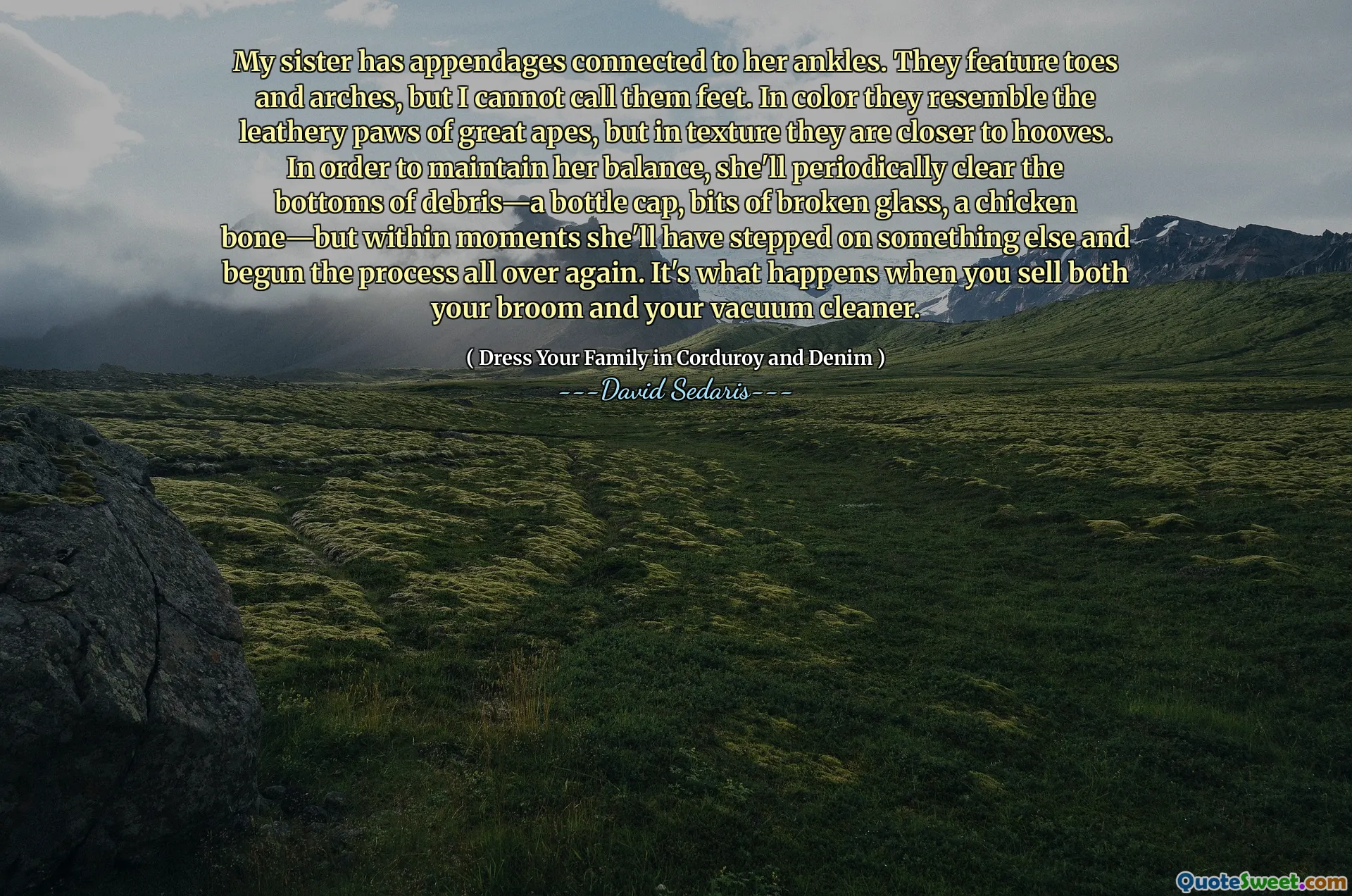 My sister has appendages connected to her ankles. They feature toes and arches, but I cannot call them feet. In color they resemble the leathery paws of great apes, but in texture they are closer to hooves. In order to maintain her balance, she'll periodically clear the bottoms of debris—a bottle cap, bits of broken glass, a chicken bone—but within moments she'll have stepped on something else and begun the process all over again. It's what happens when you sell both your broom and your vacuum cleaner.