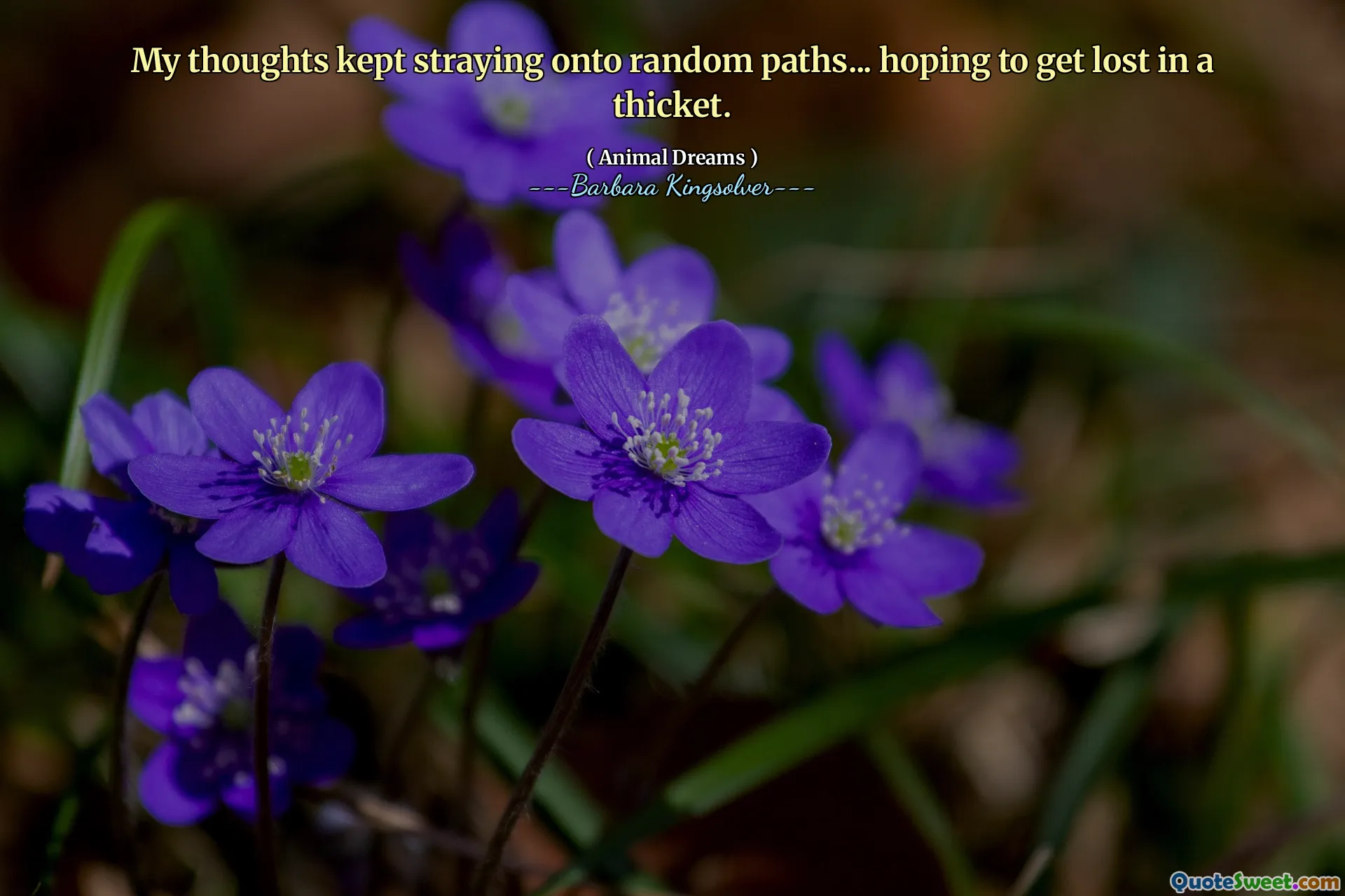 My thoughts kept straying onto random paths... hoping to get lost in a thicket.