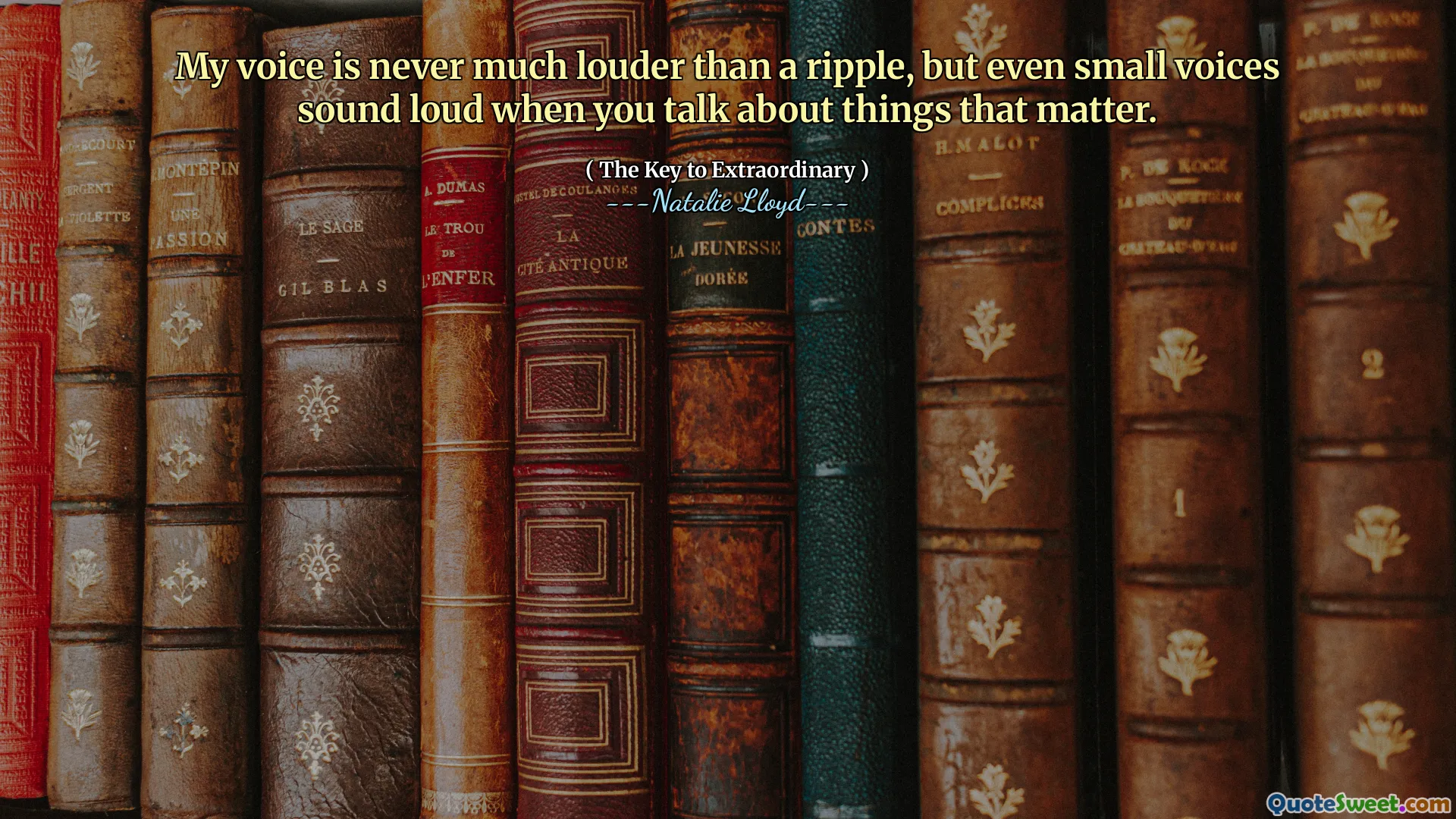 My voice is never much louder than a ripple, but even small voices sound loud when you talk about things that matter.