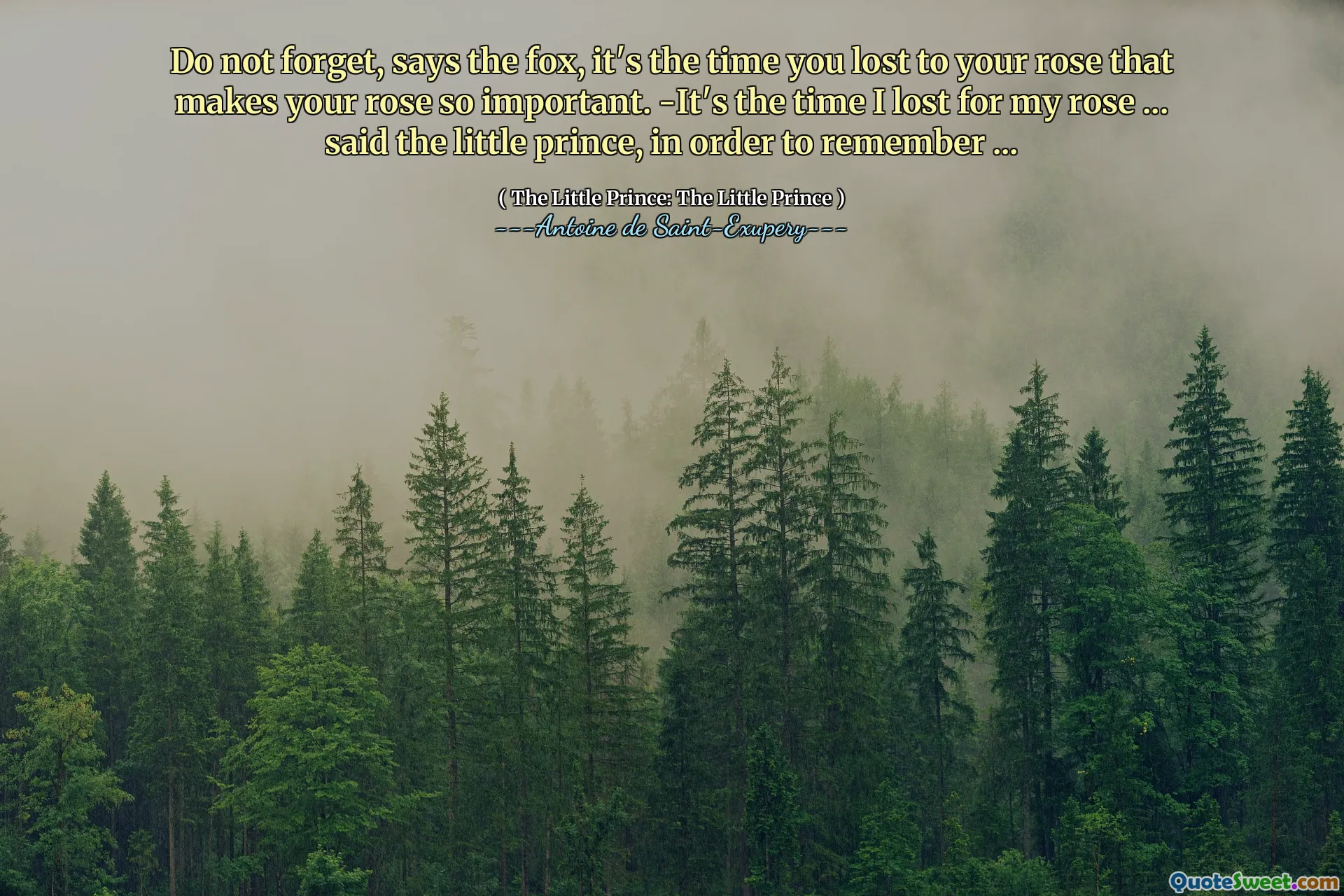 Do not forget, says the fox, it's the time you lost to your rose that makes your rose so important. -It's the time I lost for my rose ... said the little prince, in order to remember ...