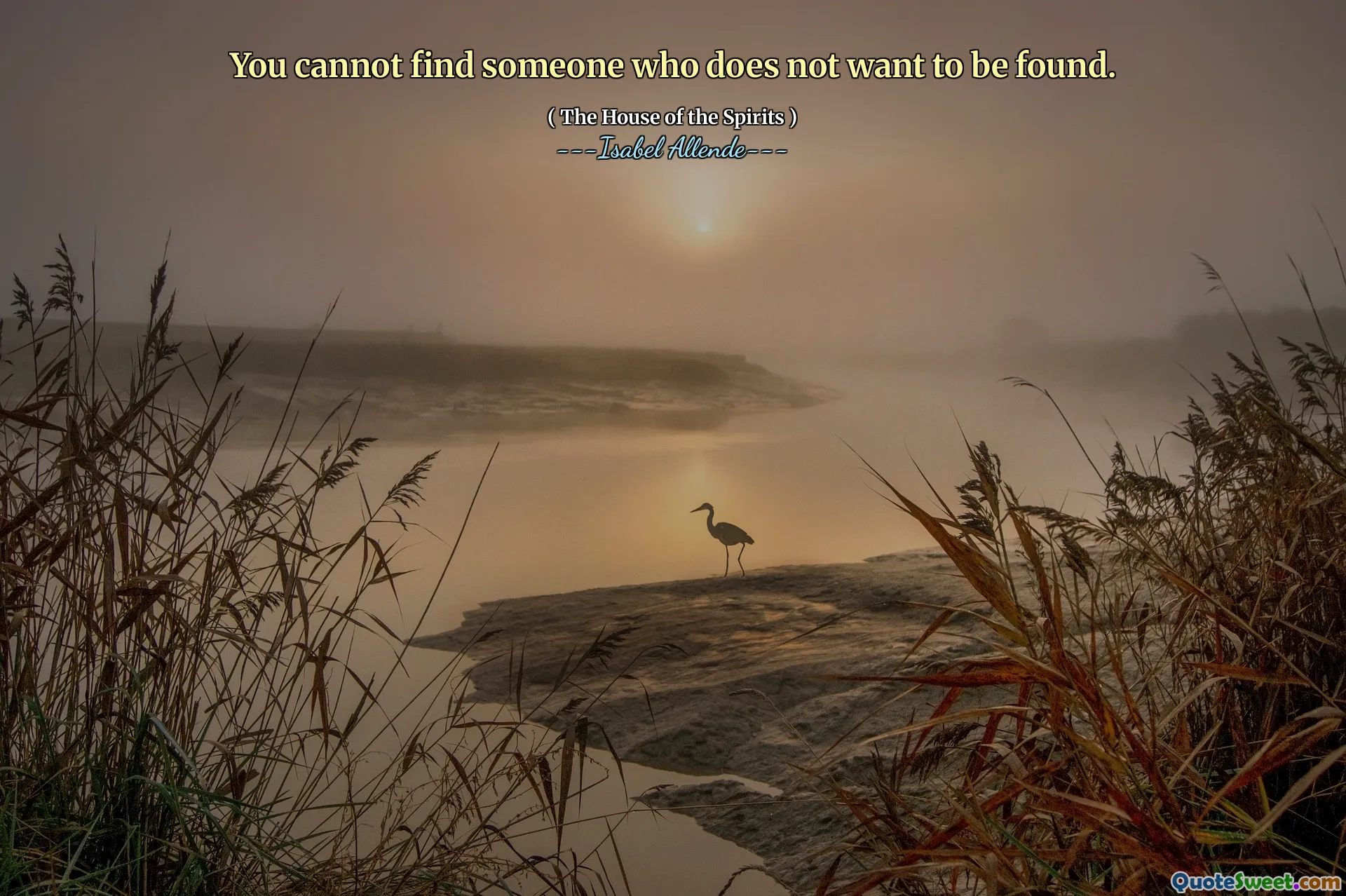 You cannot find someone who does not want to be found.