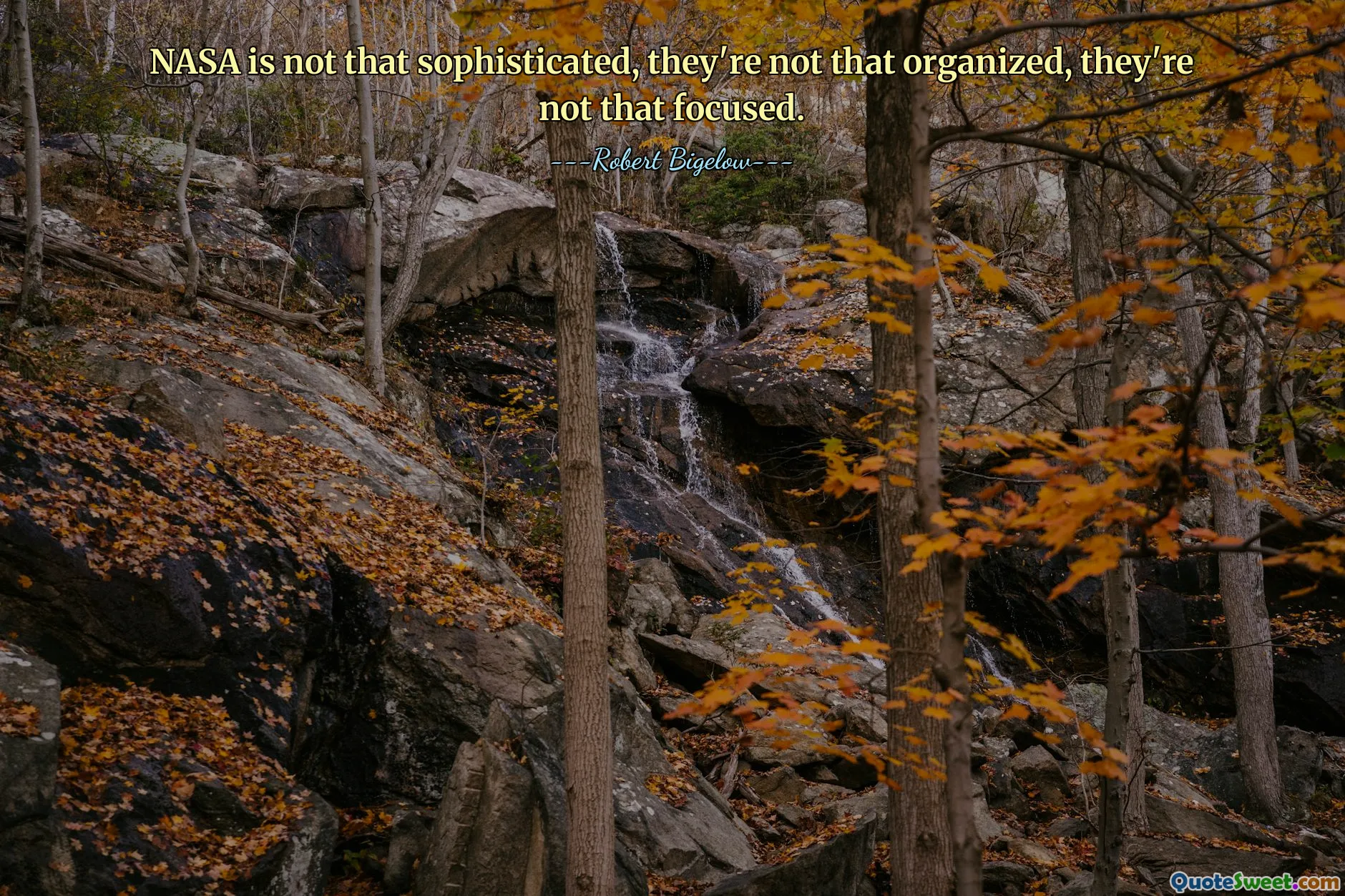 NASA is not that sophisticated, they're not that organized, they're not that focused.