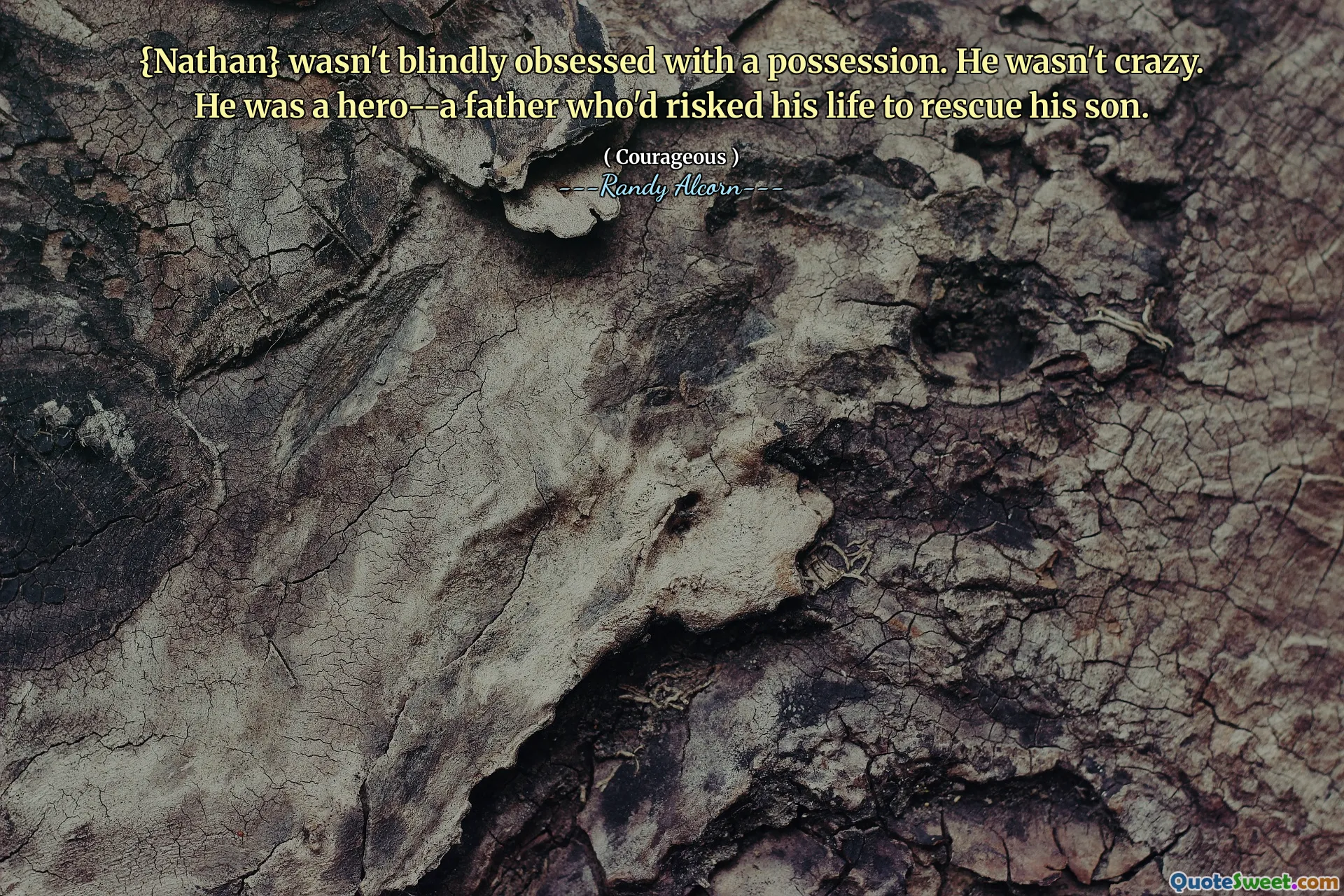 {नाथन} नेत्रहीन रूप से एक कब्जे से ग्रस्त नहीं था। वह पागल नहीं था। वह एक नायक था-एक पिता जिसने अपने बेटे को बचाने के लिए अपने जीवन को जोखिम में डाल दिया।