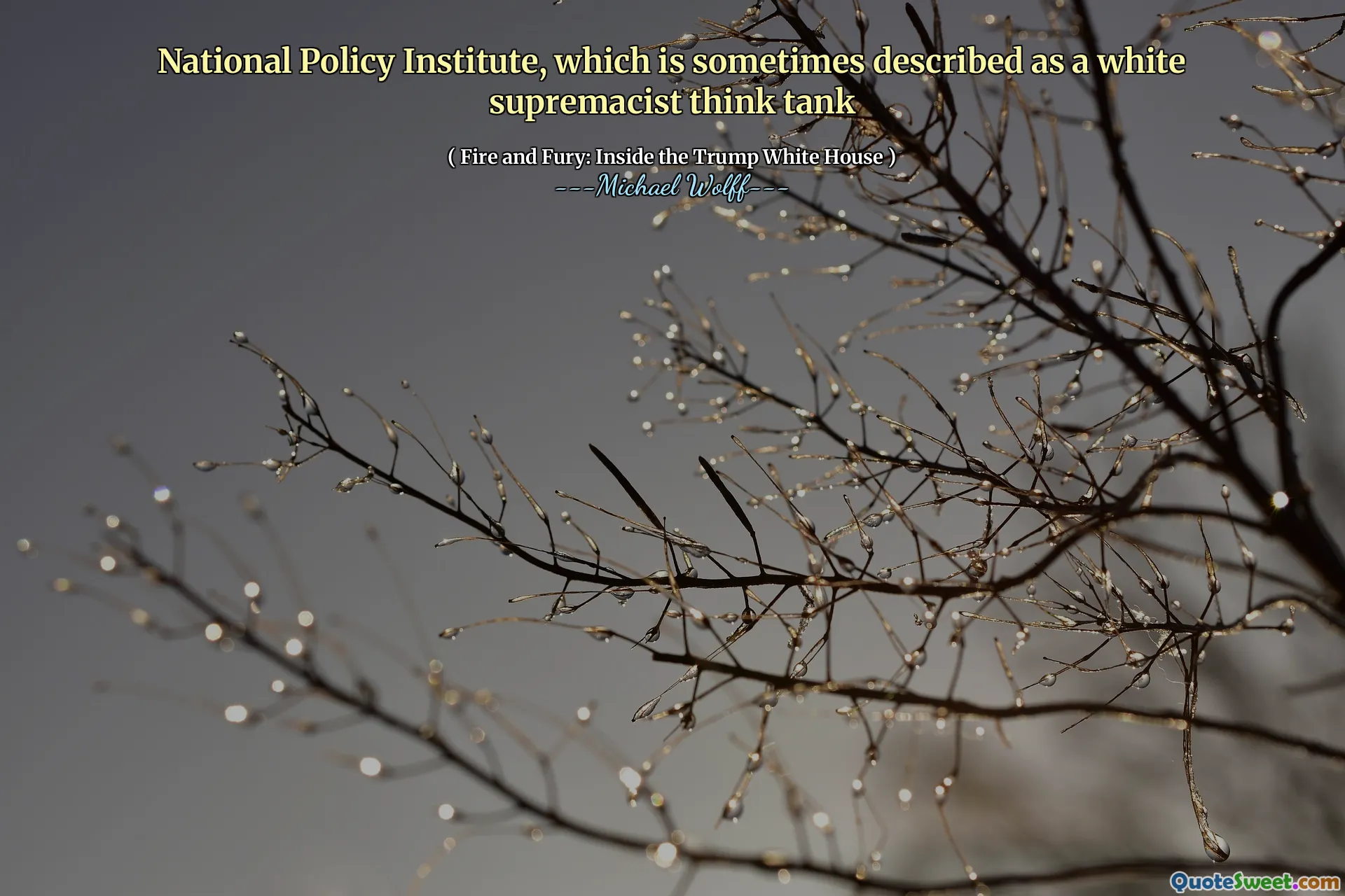 National Policy Institute, which is sometimes described as a white supremacist think tank