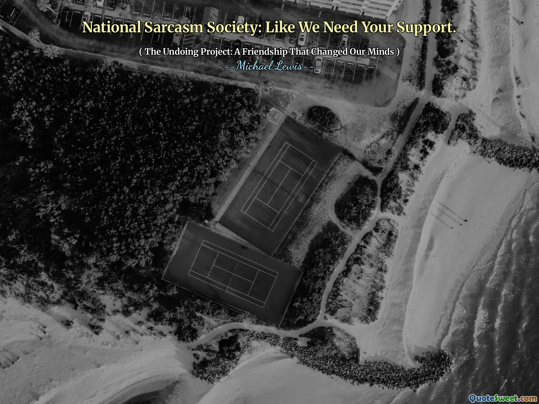 National Sarcasm Society: como necesitamos su apoyo.