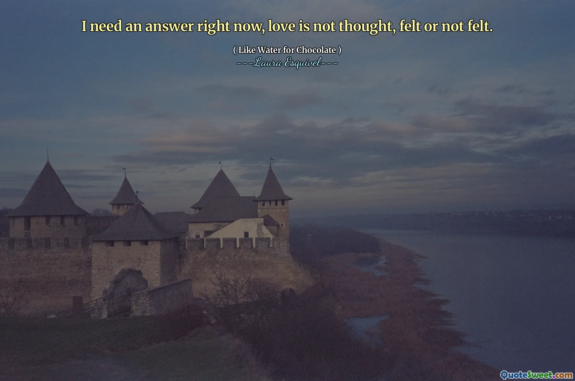 我现在需要一个答案，爱情没有思考，感觉到或没有感觉到。