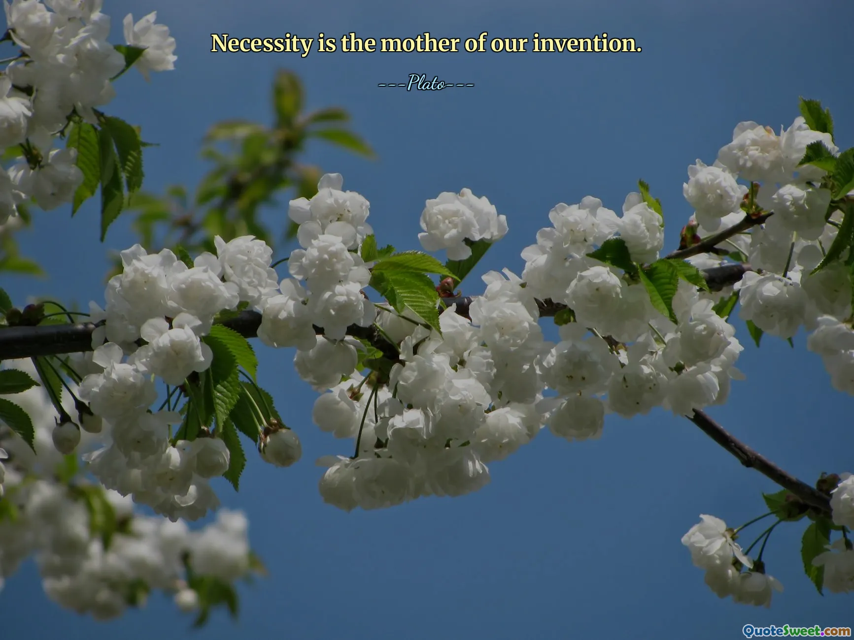 Necessity is the mother of our invention.