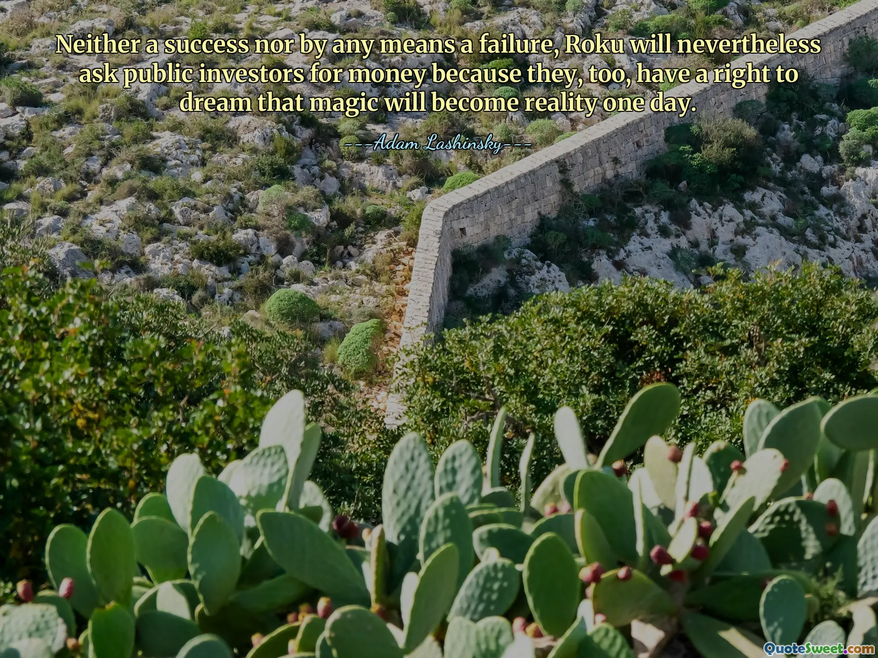 Neither a success nor by any means a failure, Roku will nevertheless ask public investors for money because they, too, have a right to dream that magic will become reality one day.