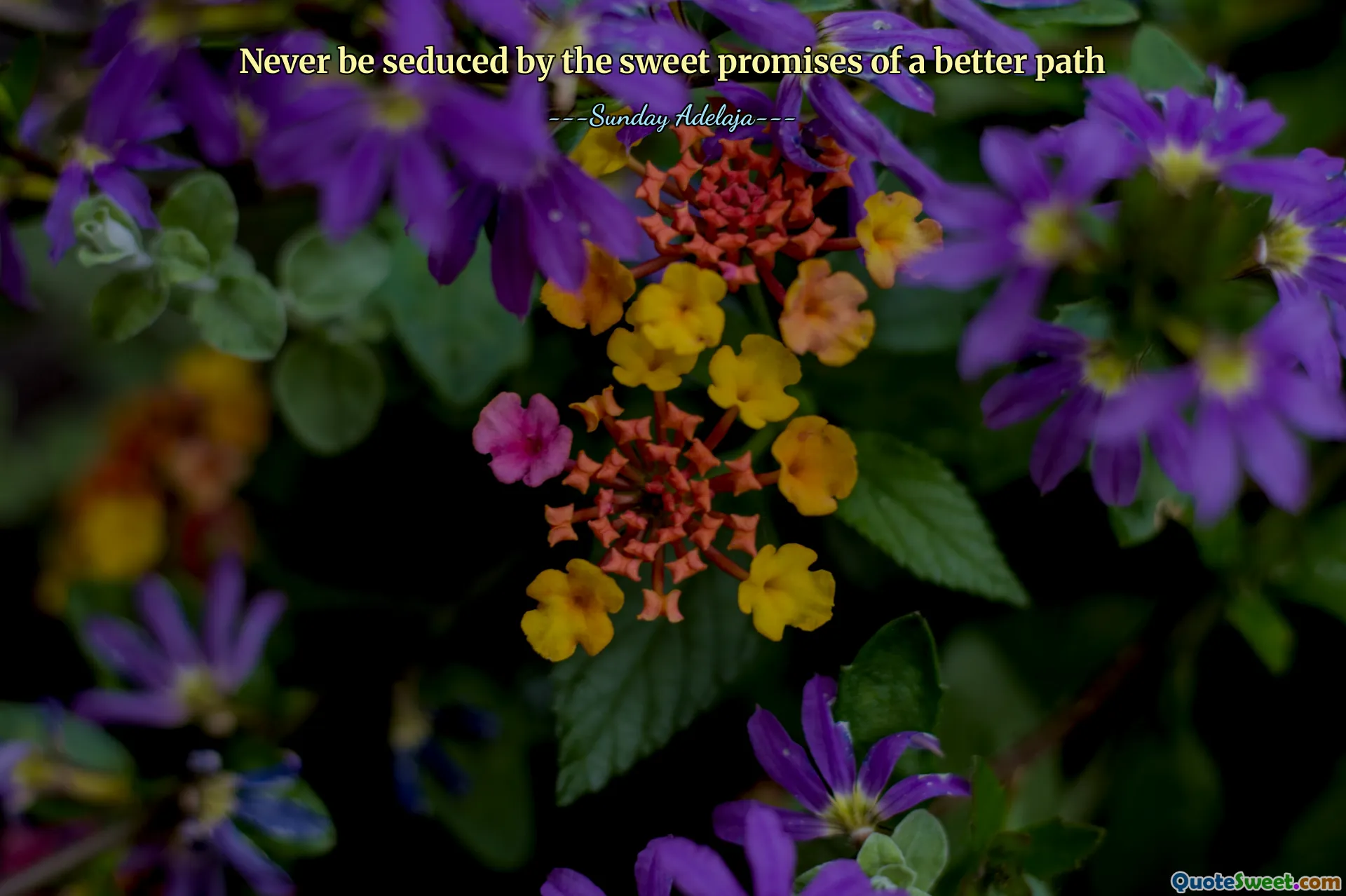 Never be seduced by the sweet promises of a better path