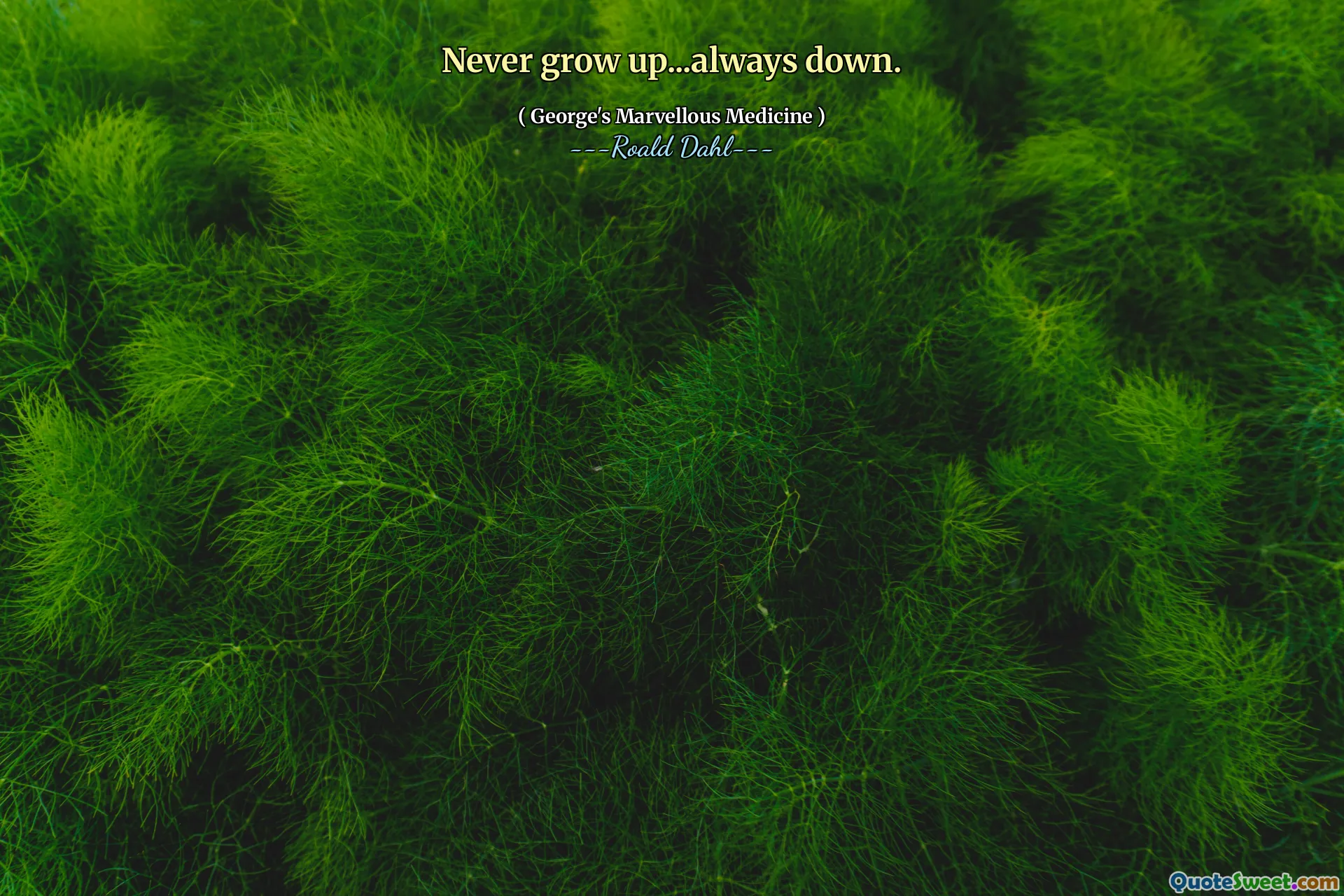 Never grow up...always down.