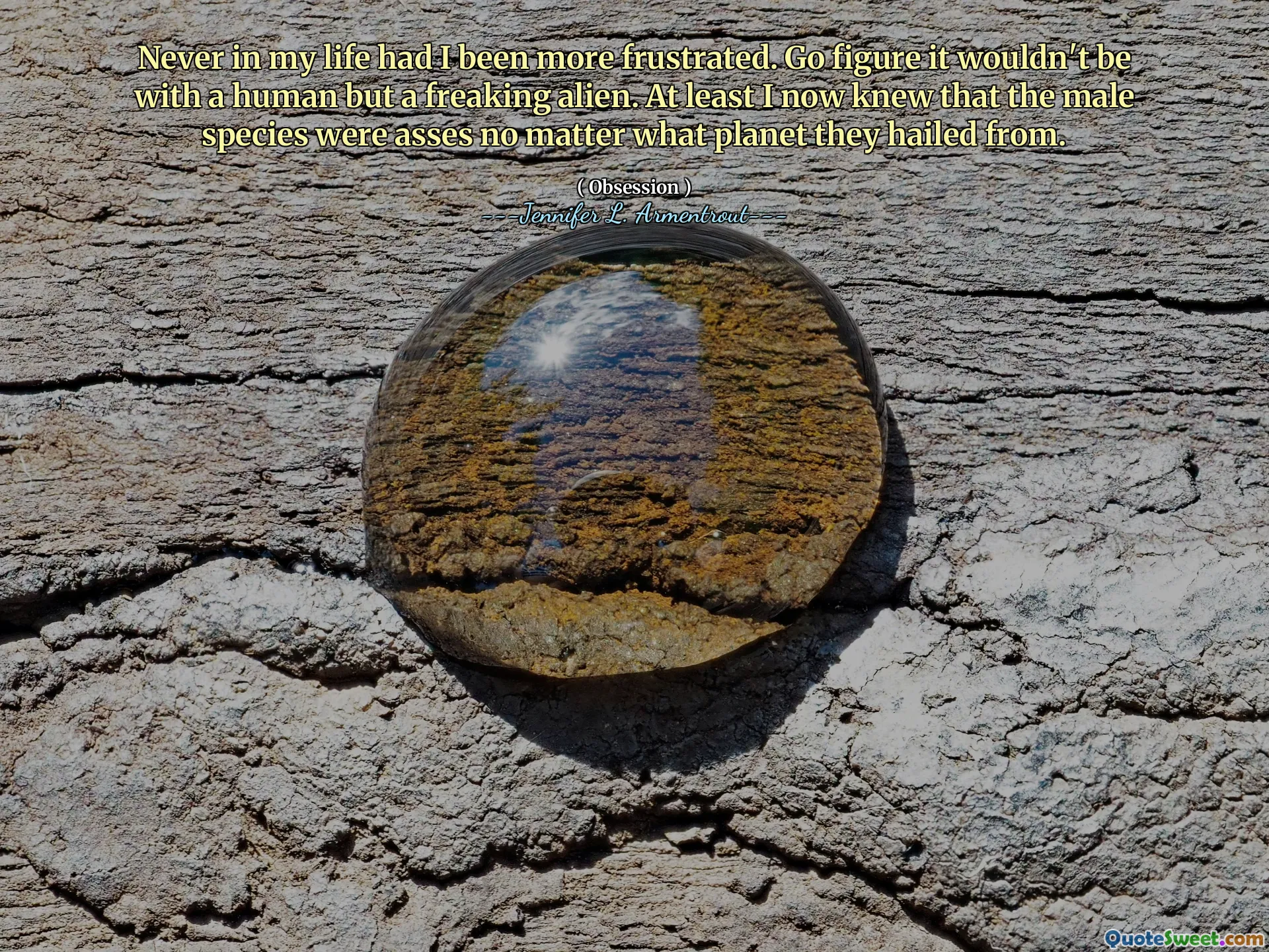 Never in my life had I been more frustrated. Go figure it wouldn't be with a human but a freaking alien. At least I now knew that the male species were asses no matter what planet they hailed from.