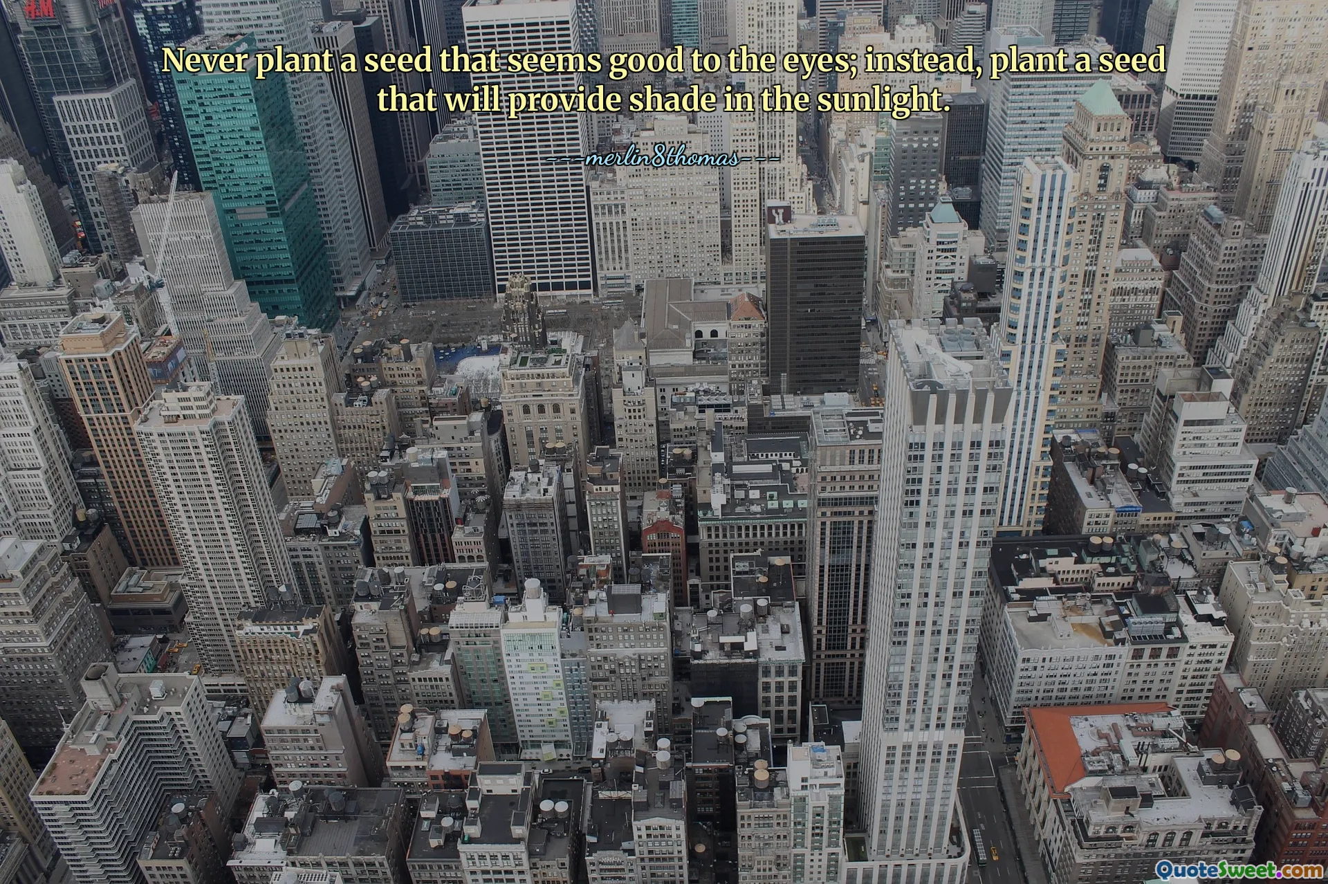 Never plant a seed that seems good to the eyes; instead, plant a seed that will provide shade in the sunlight.