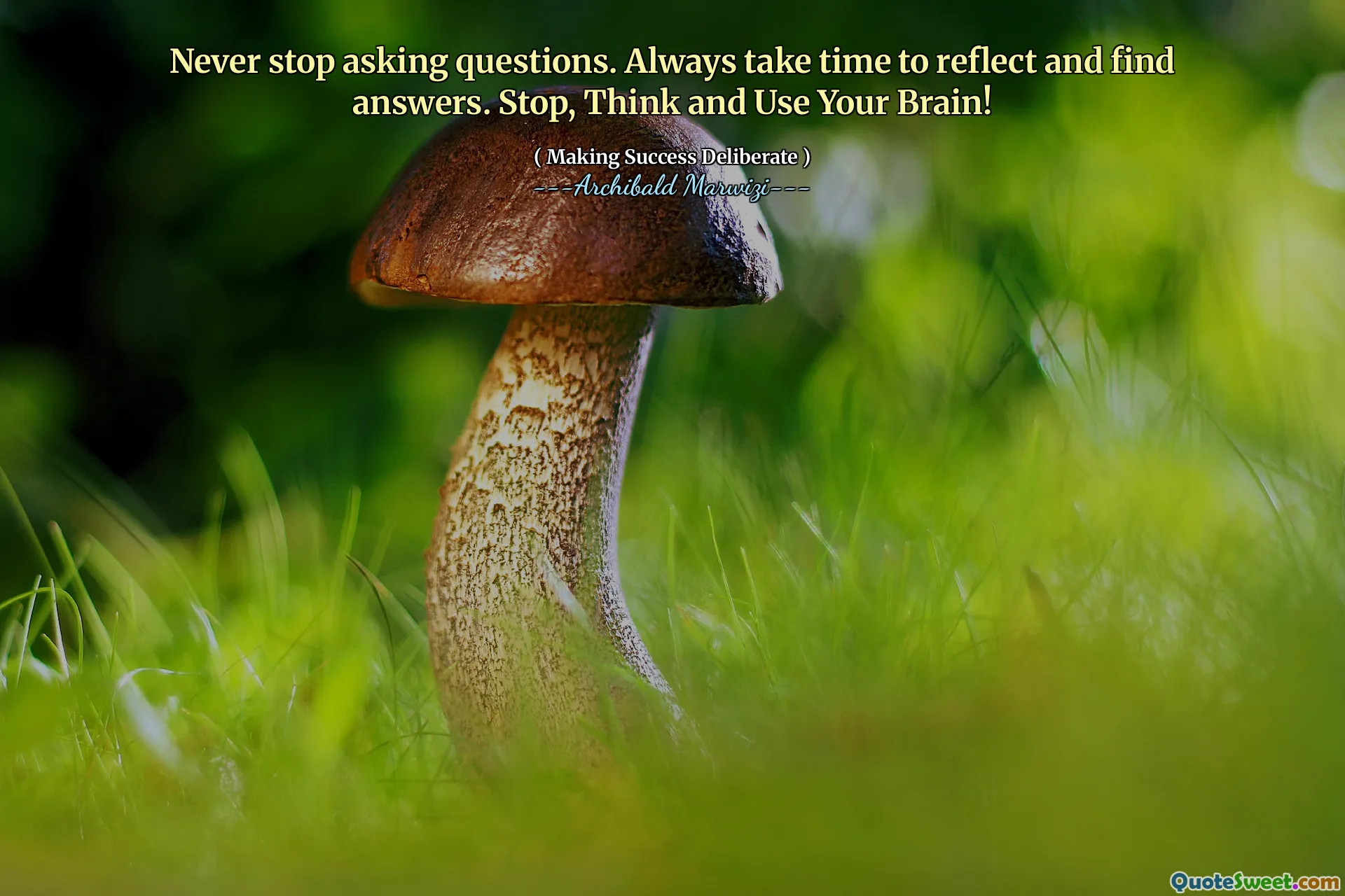 Never stop asking questions. Always take time to reflect and find answers. Stop, Think and Use Your Brain!