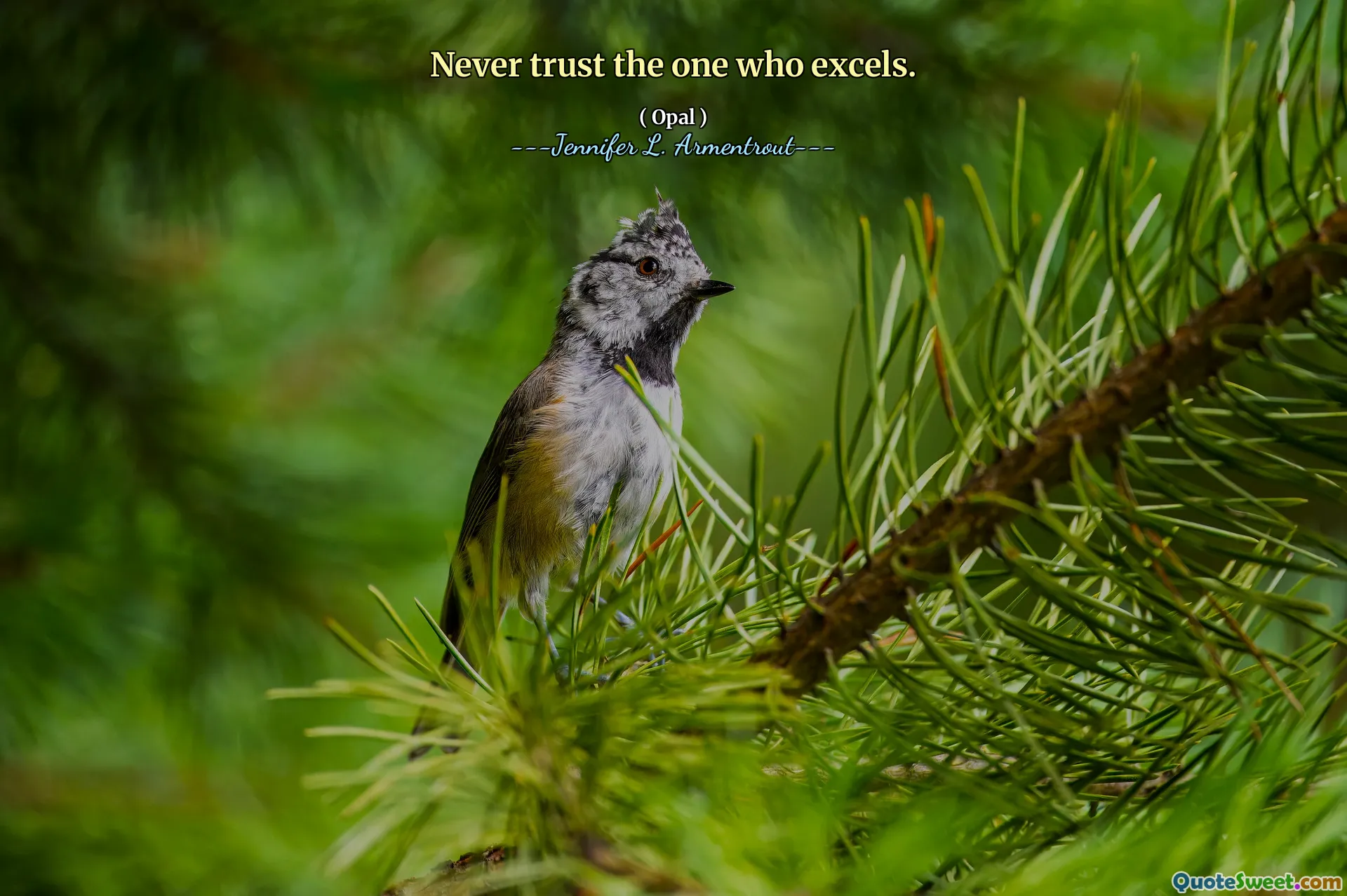 Never trust the one who excels.