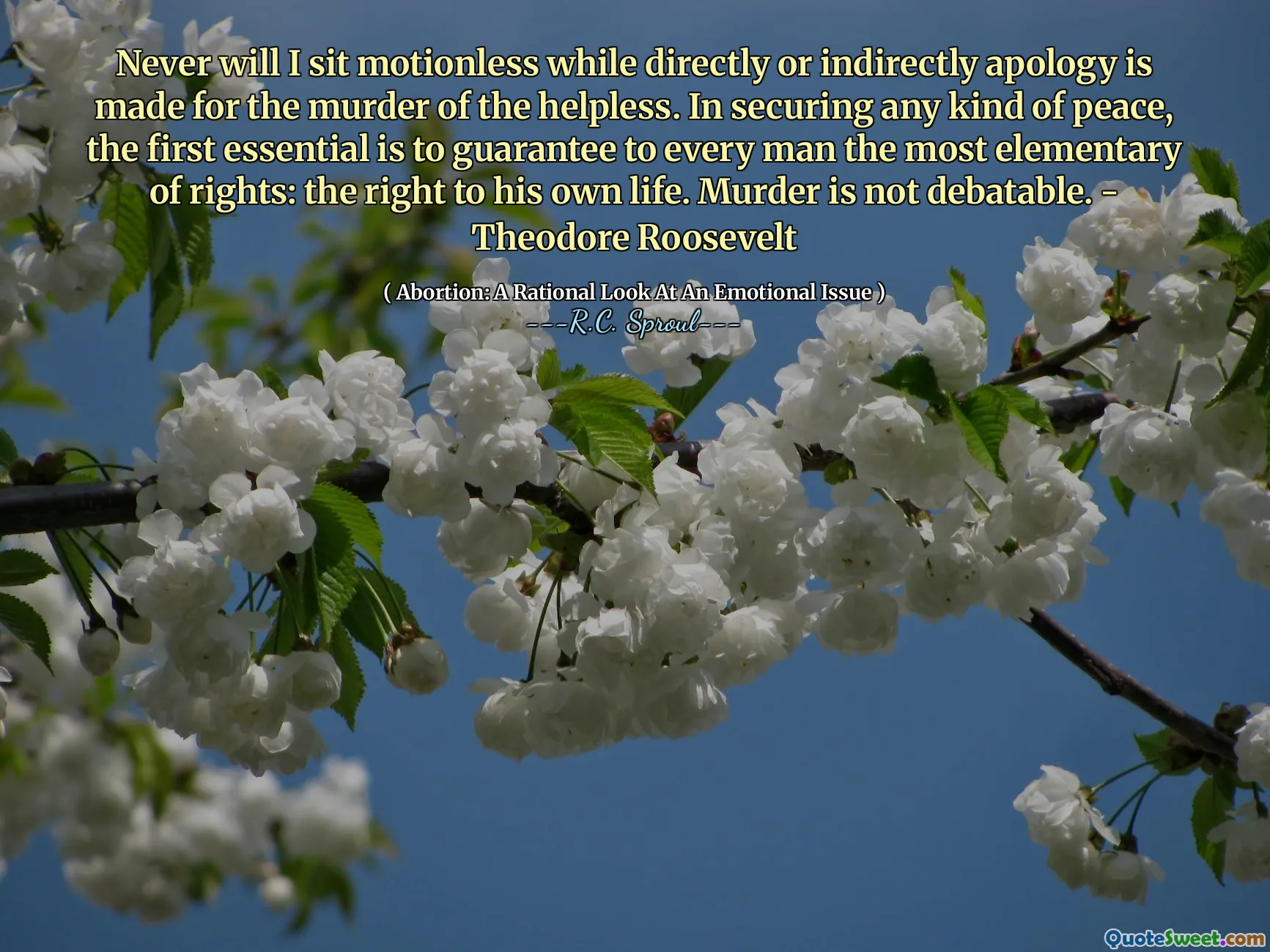Never will I sit motionless while directly or indirectly apology is made for the murder of the helpless. In securing any kind of peace, the first essential is to guarantee to every man the most elementary of rights: the right to his own life. Murder is not debatable. - Theodore Roosevelt