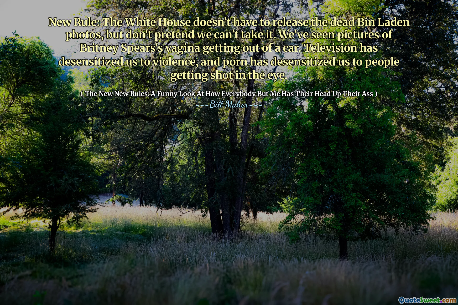 New Rule: The White House doesn't have to release the dead Bin Laden photos, but don't pretend we can't take it. We've seen pictures of Britney Spears's vagina getting out of a car. Television has desensitized us to violence, and porn has desensitized us to people getting shot in the eye.