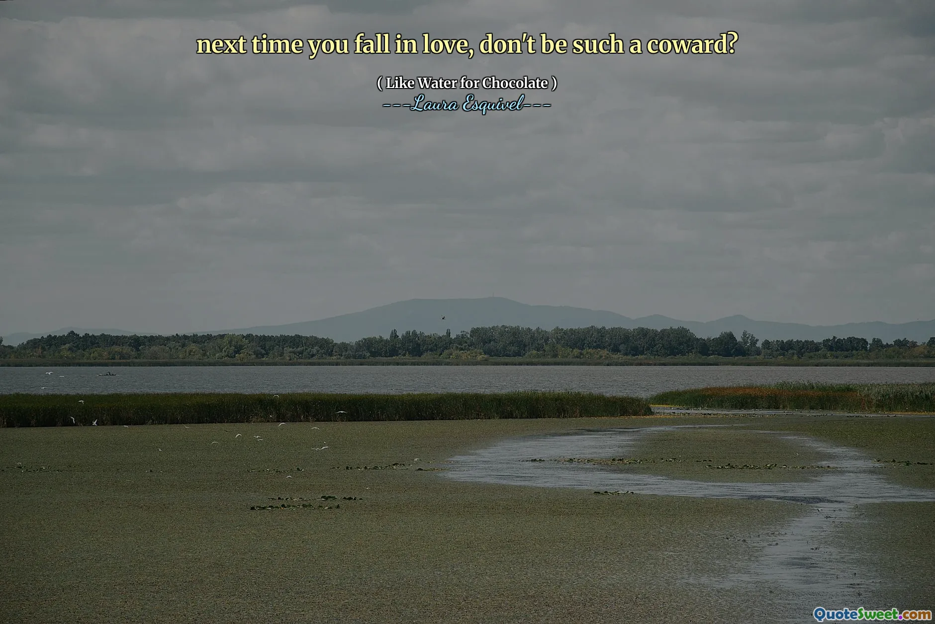 შემდეგ ჯერზე რომ შეგიყვარდებათ, ნუ იქნები ასეთი მშიშარა?