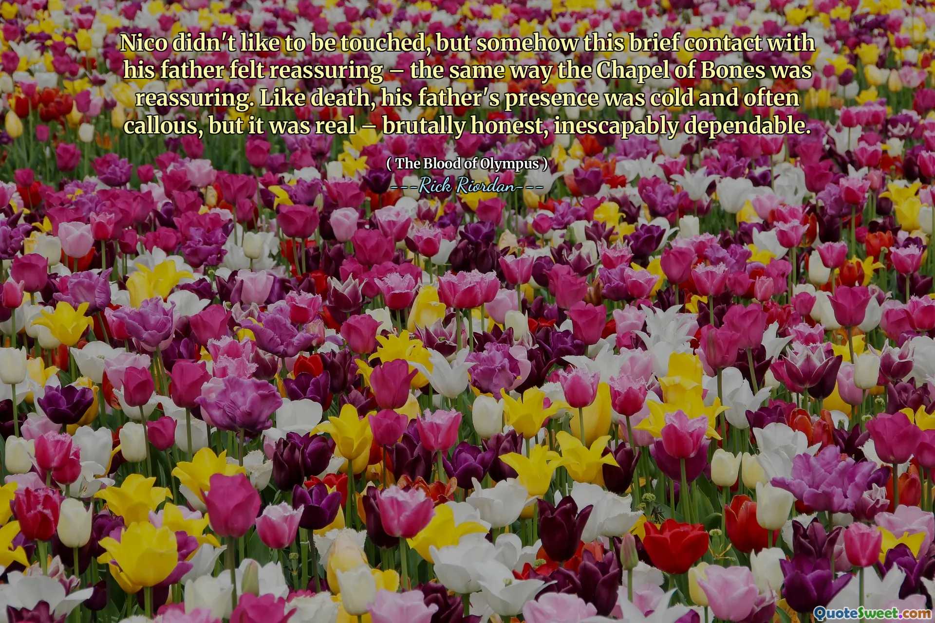 Nico didn't like to be touched, but somehow this brief contact with his father felt reassuring – the same way the Chapel of Bones was reassuring. Like death, his father's presence was cold and often callous, but it was real – brutally honest, inescapably dependable.