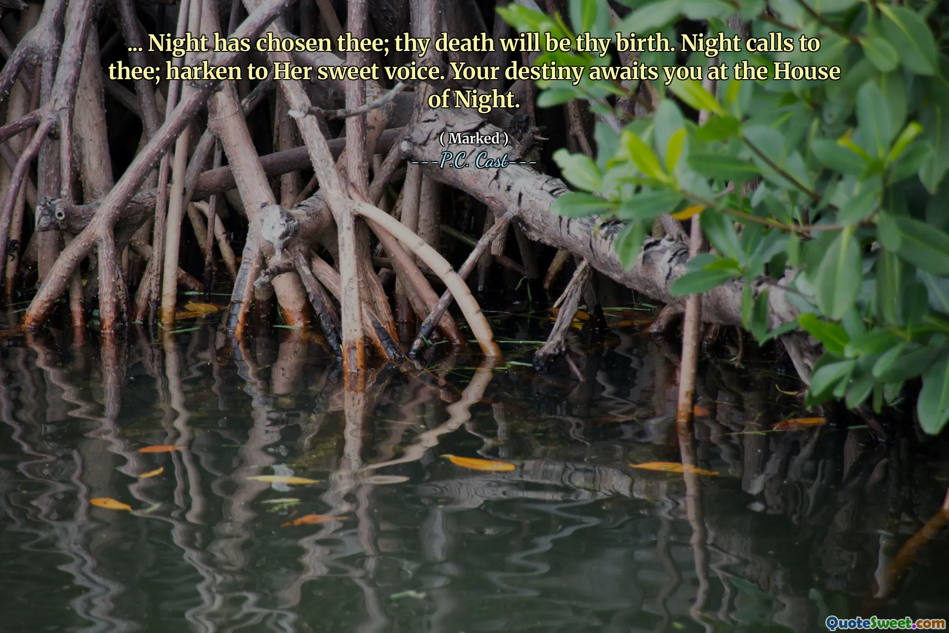 ... Night has chosen thee; thy death will be thy birth. Night calls to thee; harken to Her sweet voice. Your destiny awaits you at the House of Night.