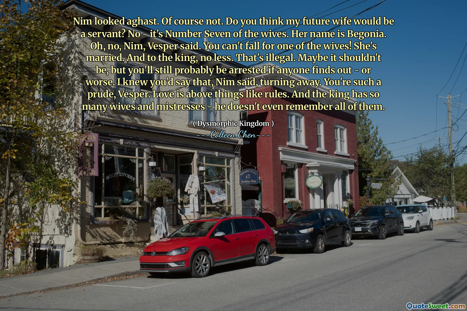 Nim looked aghast. Of course not. Do you think my future wife would be a servant? No - it's Number Seven of the wives. Her name is Begonia. Oh, no, Nim, Vesper said. You can't fall for one of the wives! She's married. And to the king, no less. That's illegal. Maybe it shouldn't be, but you'll still probably be arrested if anyone finds out - or worse. I knew you'd say that, Nim said, turning away. You're such a prude, Vesper. Love is above things like rules. And the king has so many wives and mistresses - he doesn't even remember all of them.