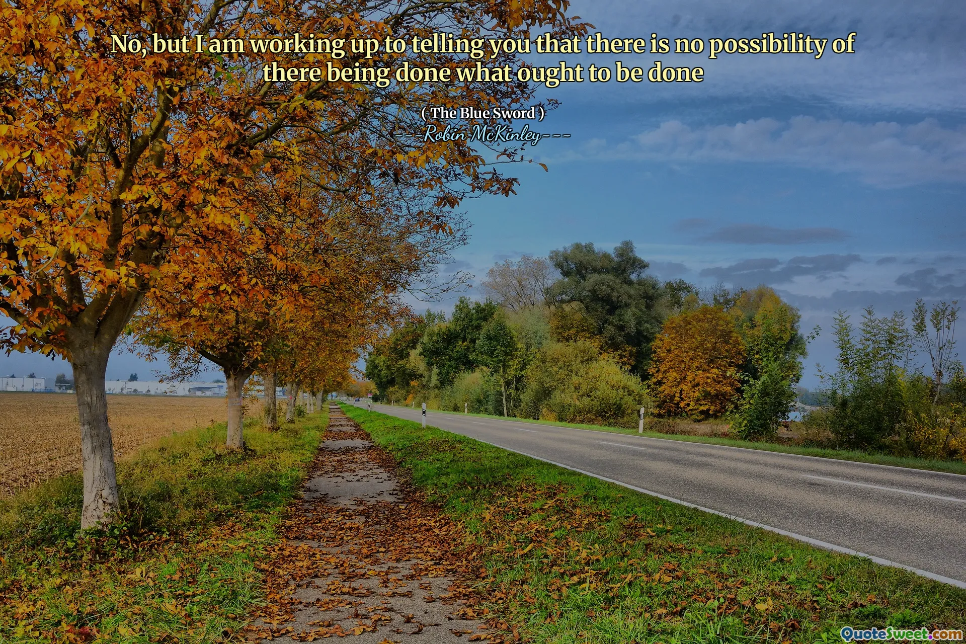 Non, mais je m'apprête à vous dire qu'il n'y a aucune possibilité que ce qui devrait être fait soit fait.