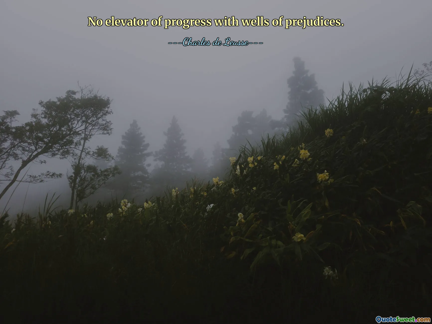 No elevator of progress with wells of prejudices.