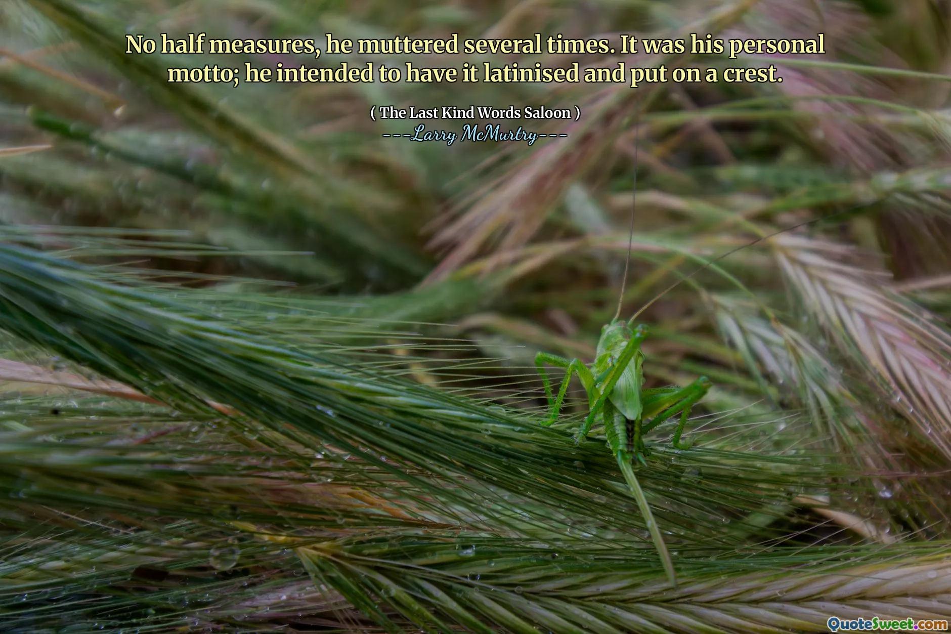 No half measures, he muttered several times. It was his personal motto; he intended to have it latinised and put on a crest.