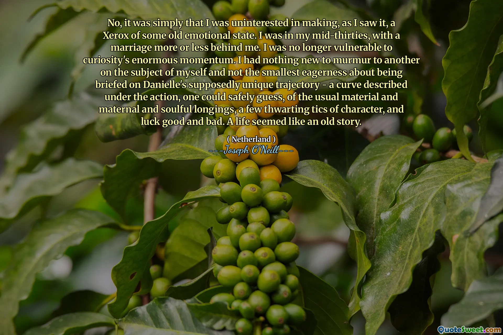 No, it was simply that I was uninterested in making, as I saw it, a Xerox of some old emotional state. I was in my mid-thirties, with a marriage more or less behind me. I was no longer vulnerable to curiosity's enormous momentum. I had nothing new to murmur to another on the subject of myself and not the smallest eagerness about being briefed on Danielle's supposedly unique trajectory - a curve described under the action, one could safely guess, of the usual material and maternal and soulful longings, a few thwarting tics of character, and luck good and bad. A life seemed like an old story.