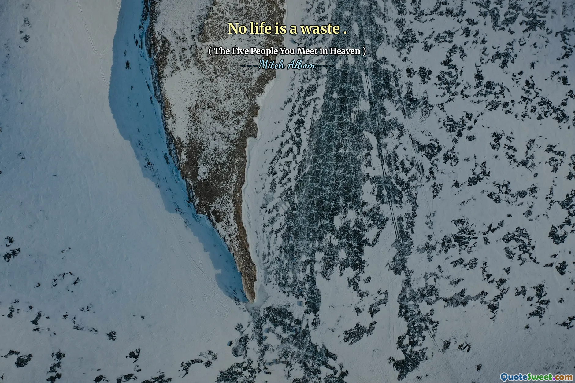 没有生命是浪费。