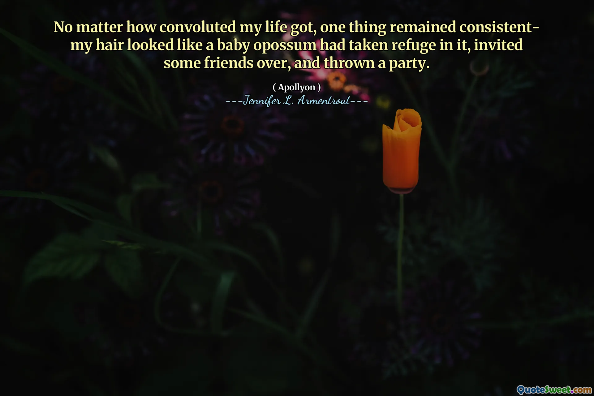 No matter how convoluted my life got, one thing remained consistent- my hair looked like a baby opossum had taken refuge in it, invited some friends over, and thrown a party.