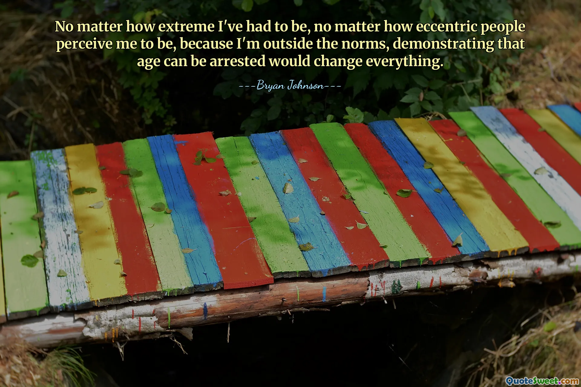 No matter how extreme I've had to be, no matter how eccentric people perceive me to be, because I'm outside the norms, demonstrating that age can be arrested would change everything.