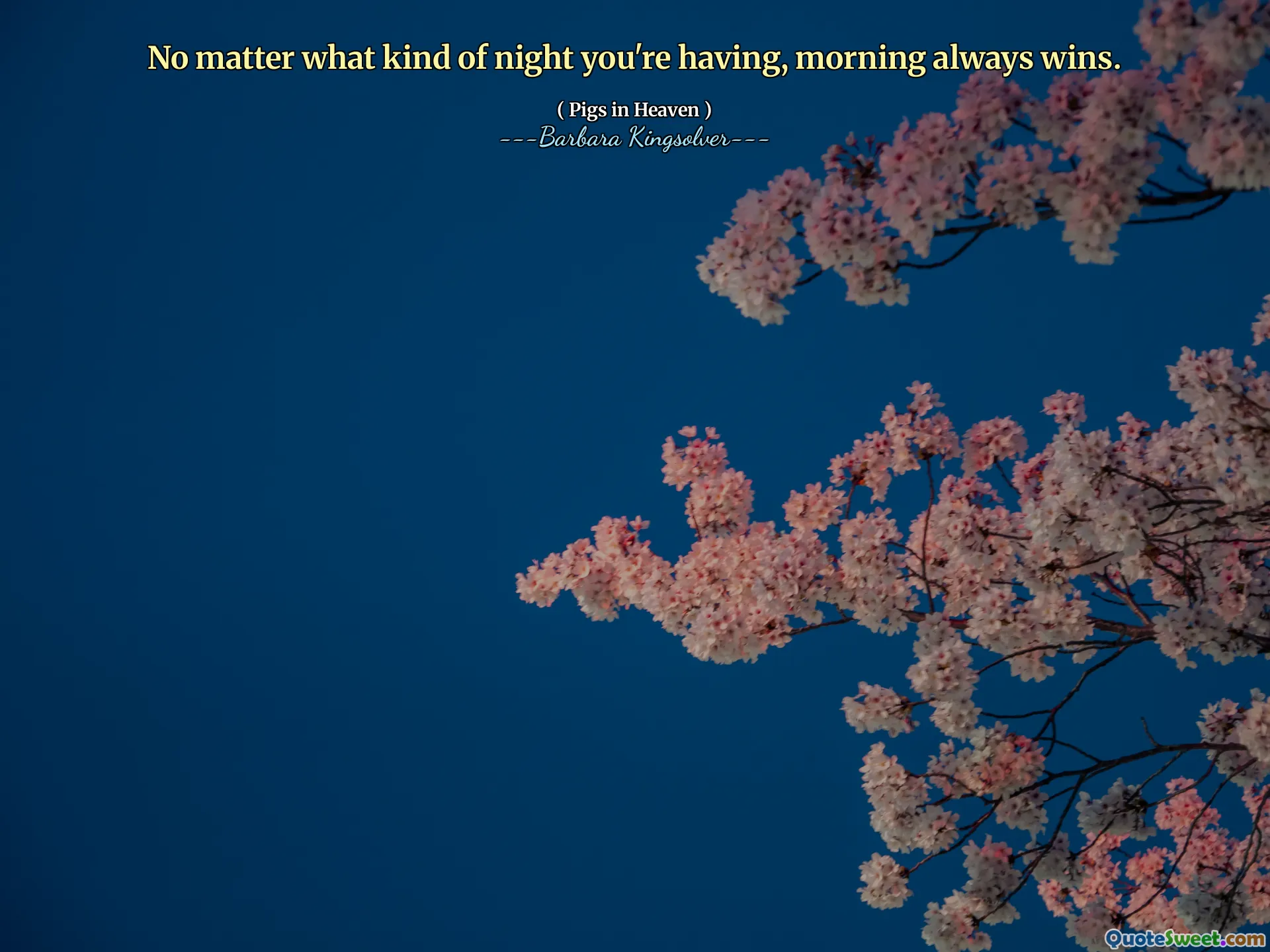 Uansett hva slags natt du har, vinner morgenen alltid.