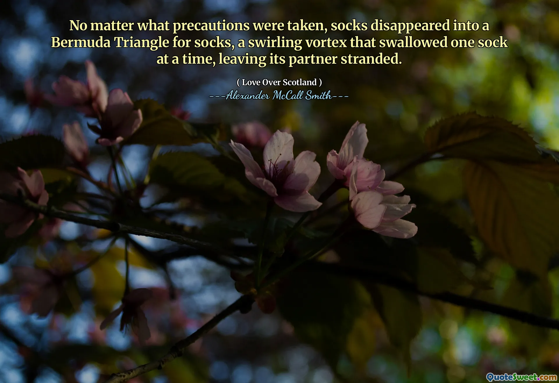 Het maakt niet uit welke voorzorgsmaatregelen werden genomen, sokken verdwenen in een Bermuda -driehoek voor sokken, een wervelende draaikolk die één sok tegelijk doorslikte, waardoor zijn partner gestrand bleef.