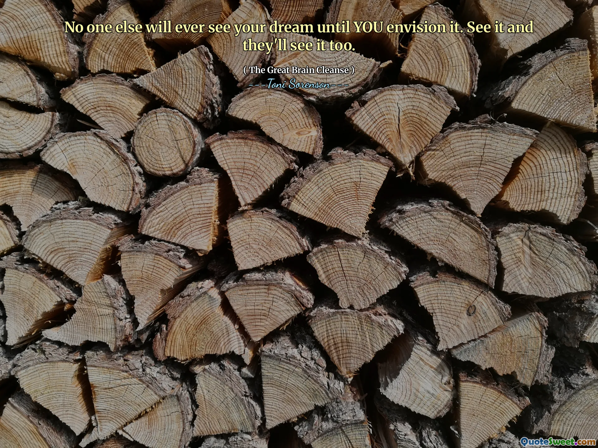 No one else will ever see your dream until YOU envision it. See it and they'll see it too.