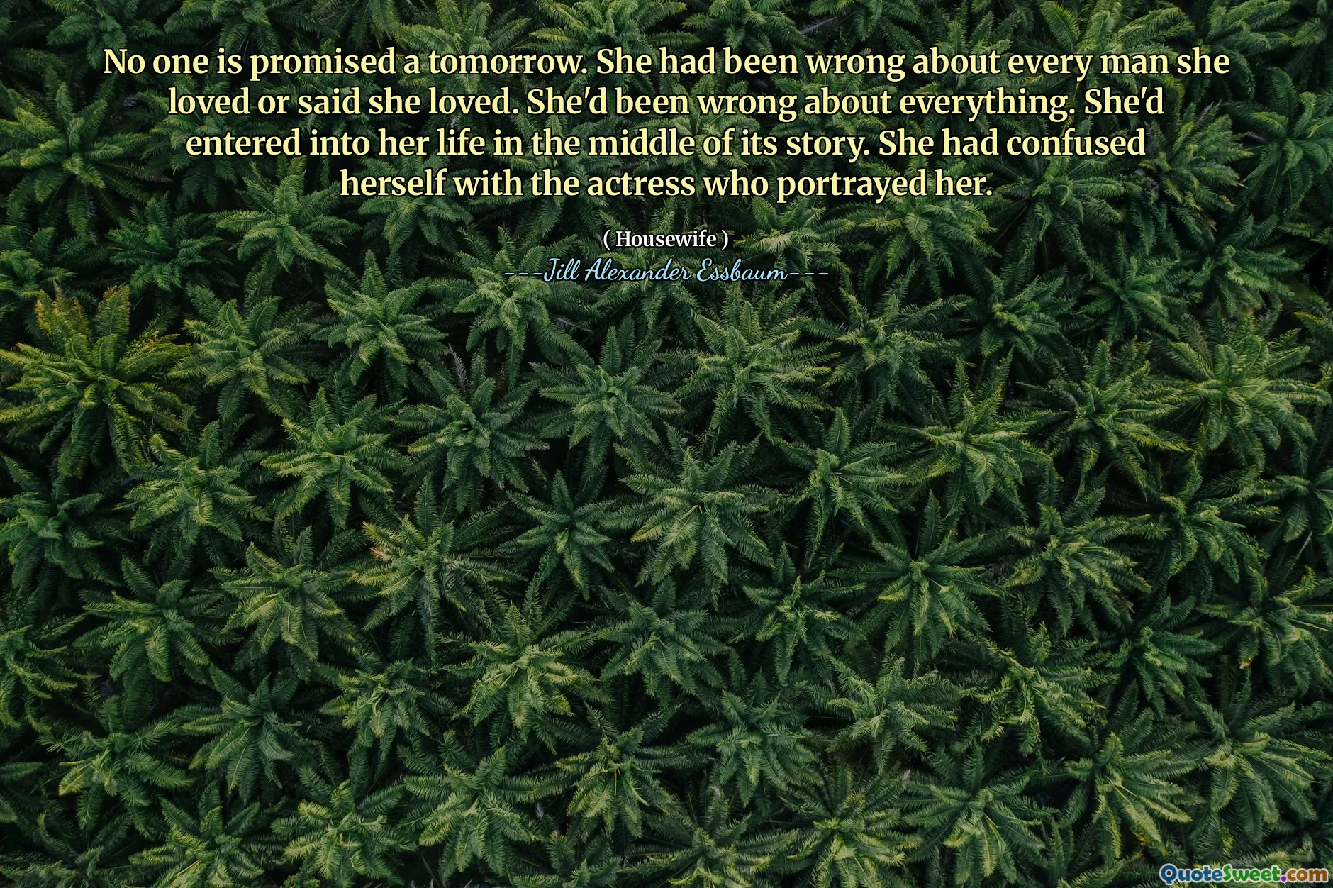 No one is promised a tomorrow. She had been wrong about every man she loved or said she loved. She'd been wrong about everything. She'd entered into her life in the middle of its story. She had confused herself with the actress who portrayed her.