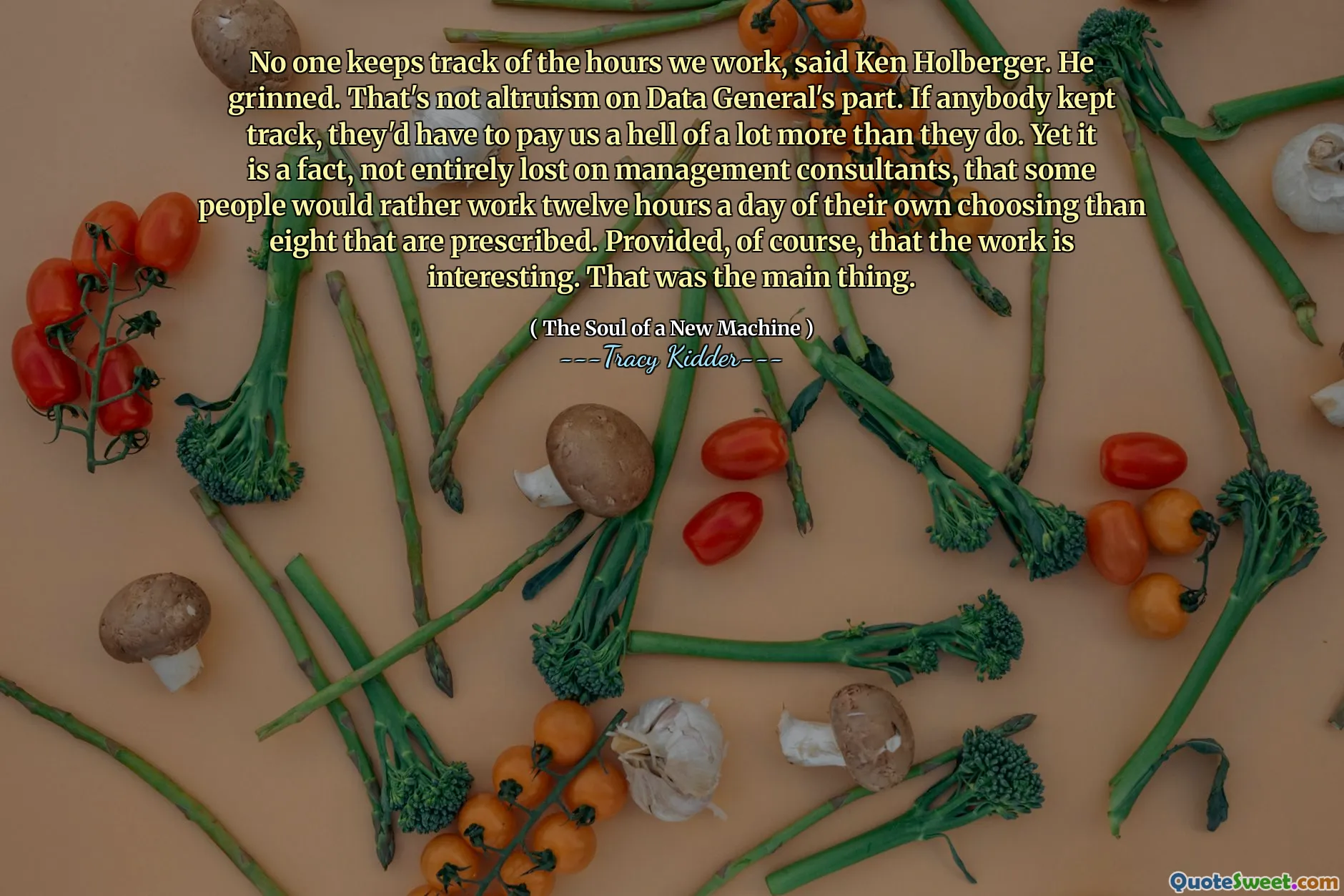 Ken Holberger, kimsenin çalıştığımız saatleri takip etmediğini söyledi. Sırıttı. Bu, Veri General tarafında fedakarlık değil. Eğer biri takip ederse, bize onlardan çok daha fazla cehennem ödemek zorunda kalacaklardı. Yine de, yönetim danışmanlarında tamamen kaybolmayan bir gerçektir, bazı insanların günde on iki saat kendi seçtikleri seçtikleri sekizden fazla çalışmayı tercih ederler. Tabii ki, işin ilginç olması şartıyla. Ana şey buydu.