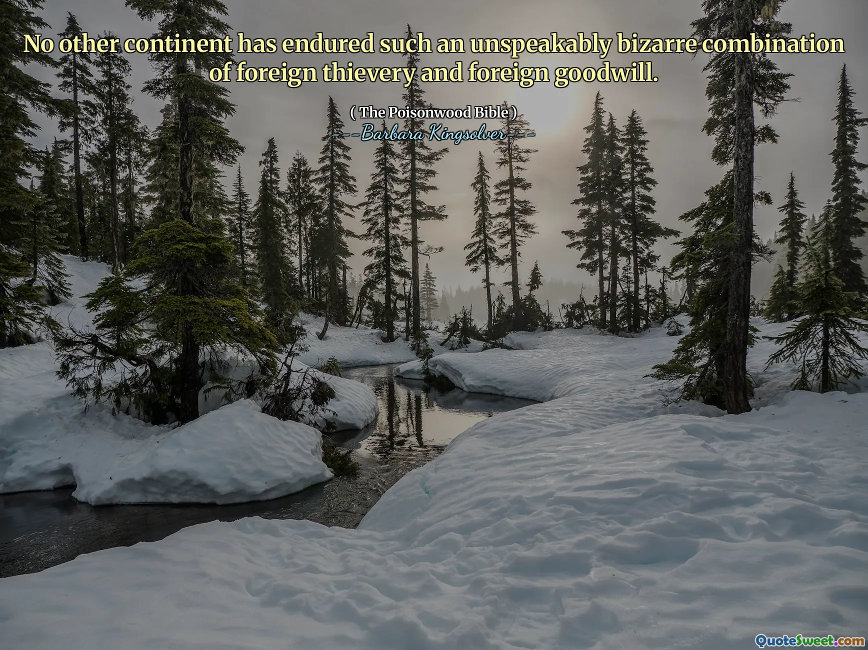 Ни один другой континент не перенес такой невероятно странное сочетание иностранного воровства и иностранного гудвилла.