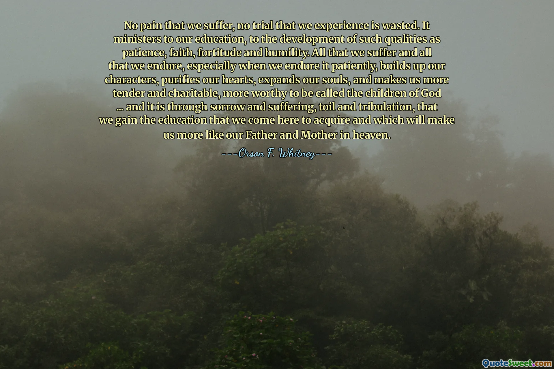 No pain that we suffer, no trial that we experience is wasted. It ministers to our education, to the development of such qualities as patience, faith, fortitude and humility. All that we suffer and all that we endure, especially when we endure it patiently, builds up our characters, purifies our hearts, expands our souls, and makes us more tender and charitable, more worthy to be called the children of God ... and it is through sorrow and suffering, toil and tribulation, that we gain the education that we come here to acquire and which will make us more like our Father and Mother in heaven.