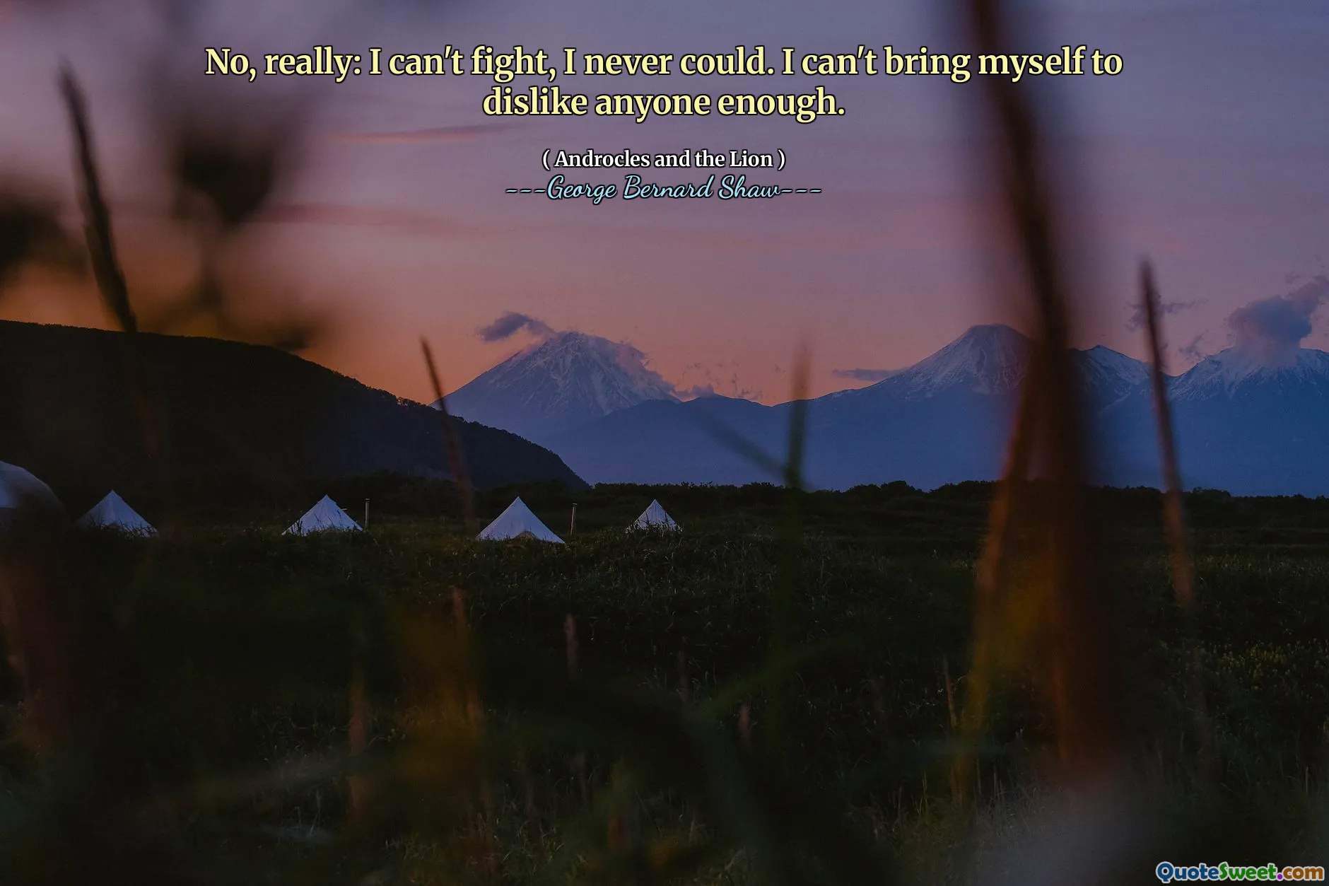 لا ، حقًا: لا أستطيع القتال ، لم أستطع أبدًا. لا أستطيع أن أحضر نفسي لأكره أي شخص بما فيه الكفاية.