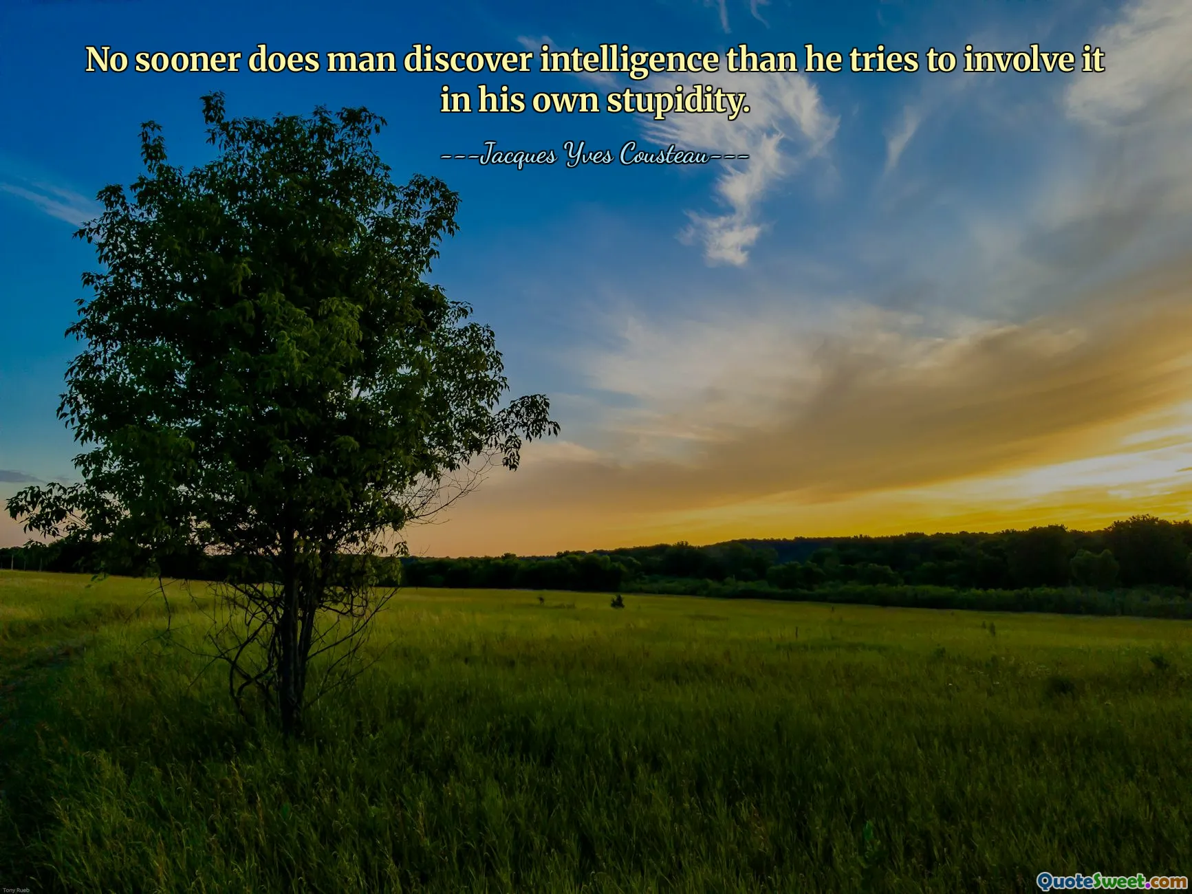 인간은 지성을 발견하자마자 그것을 자신의 어리석음에 포함시키려고 노력합니다.