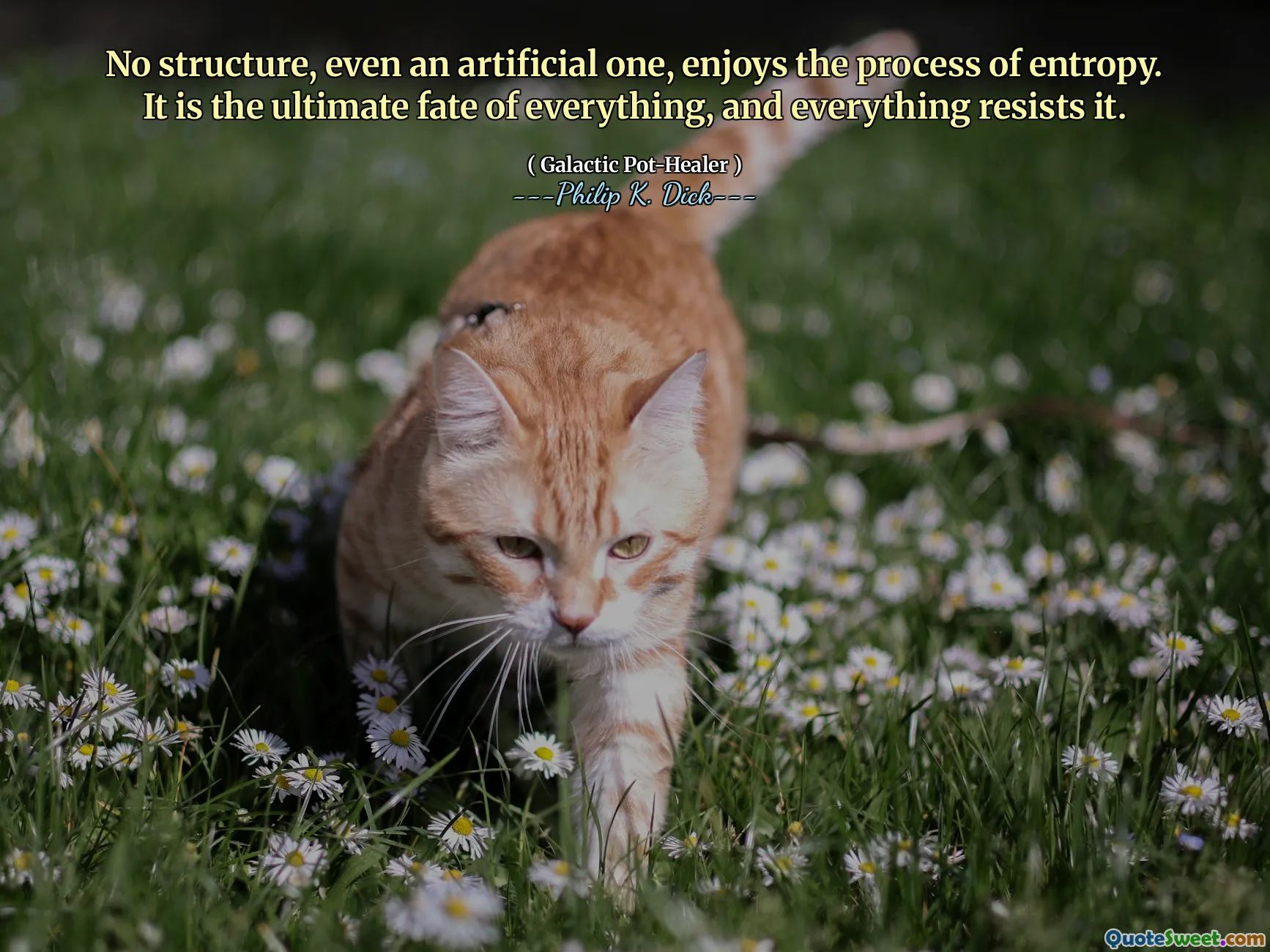 Żadna struktura, nawet sztuczna, nie cieszy się procesem entropii. Jest to ostateczny los wszystkiego i wszystko, co go opiera.