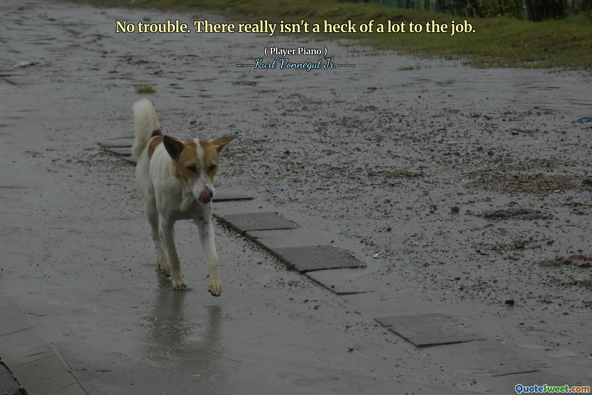 No trouble. There really isn't a heck of a lot to the job.