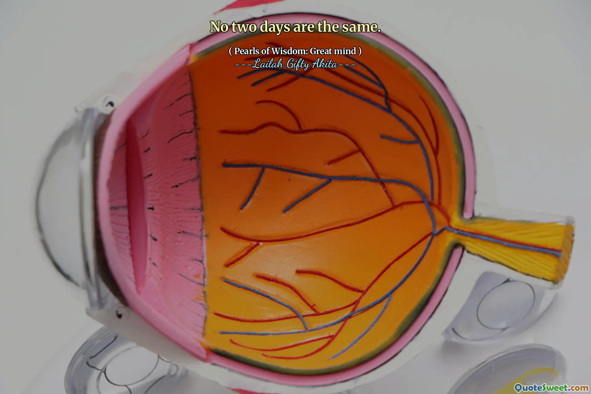 No two days are the same.